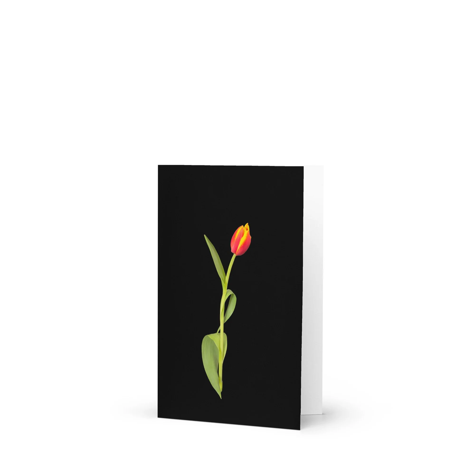 Encore - Blank notecard with envelope
