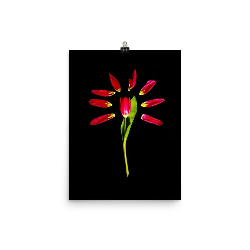 Starshine, a Radiant Gesture — Matte Paper Art Print