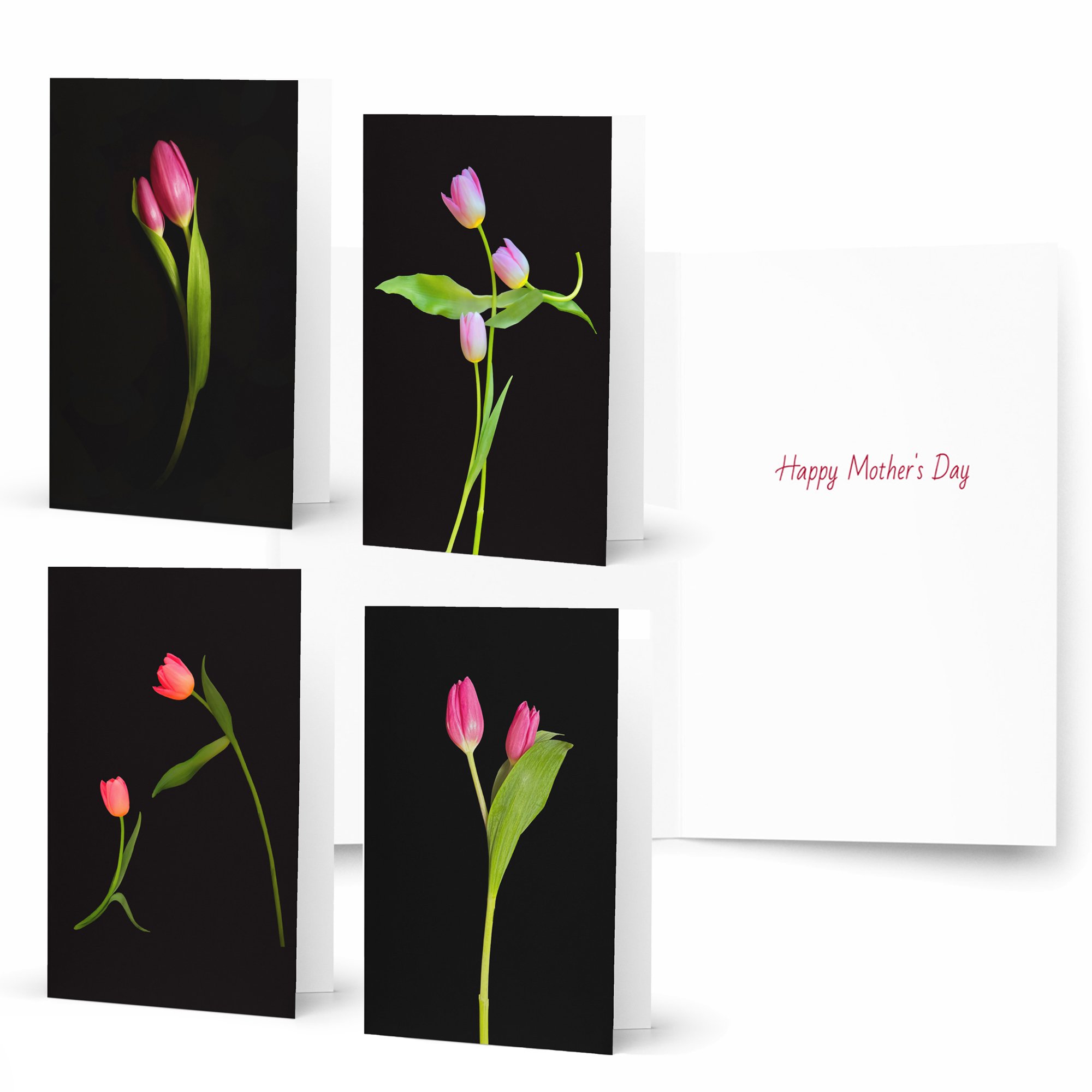 NEW_MD card collage_new MD page.jpg