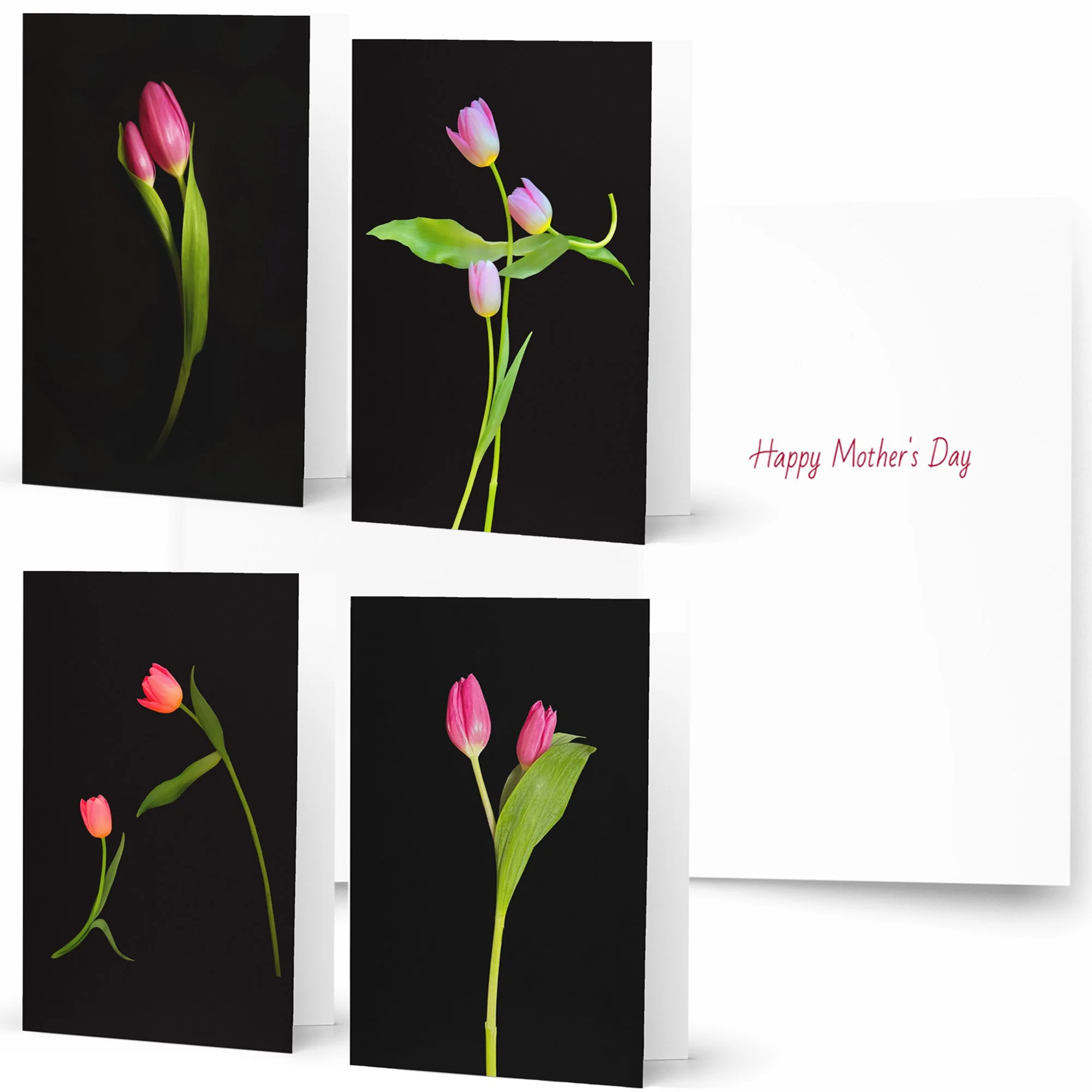 NEW_3_MD card collage_new MD page.jpg