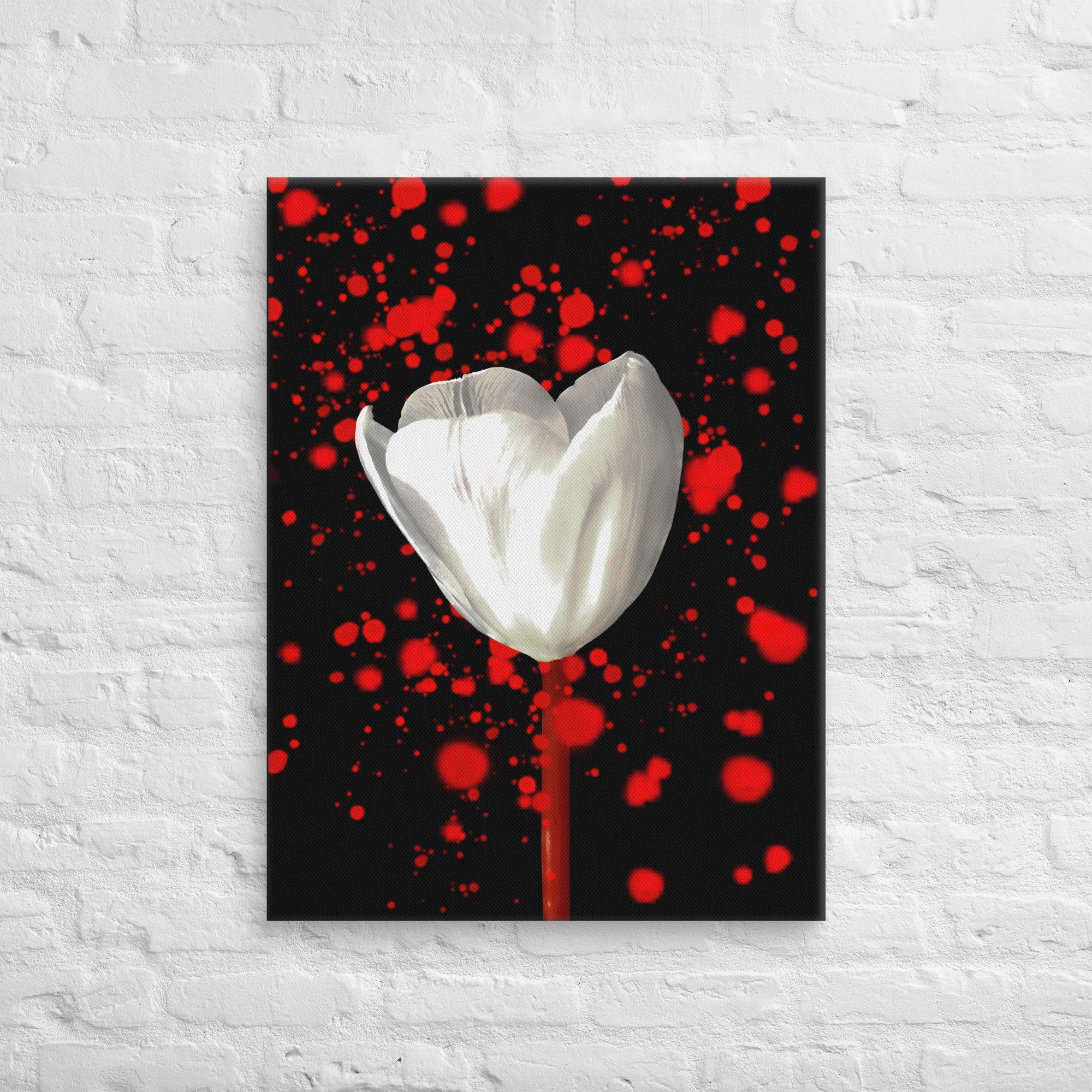 Red Cosmos, White Bloom - Canvas Print