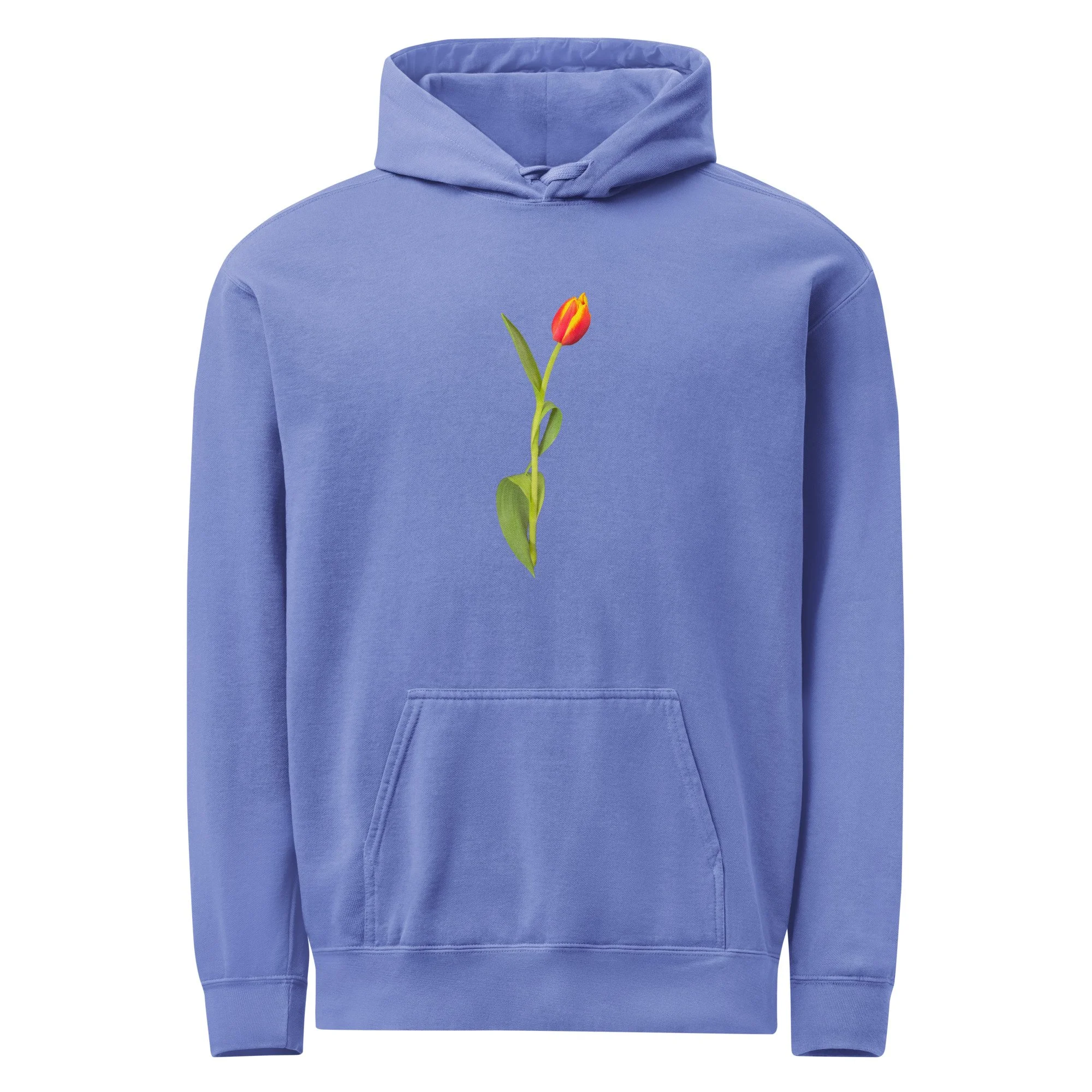unisex-garment-dyed-hooded-sweatshirt-i-comfort-colors-1567-flo-blue-front-699b569c495c3.jpg