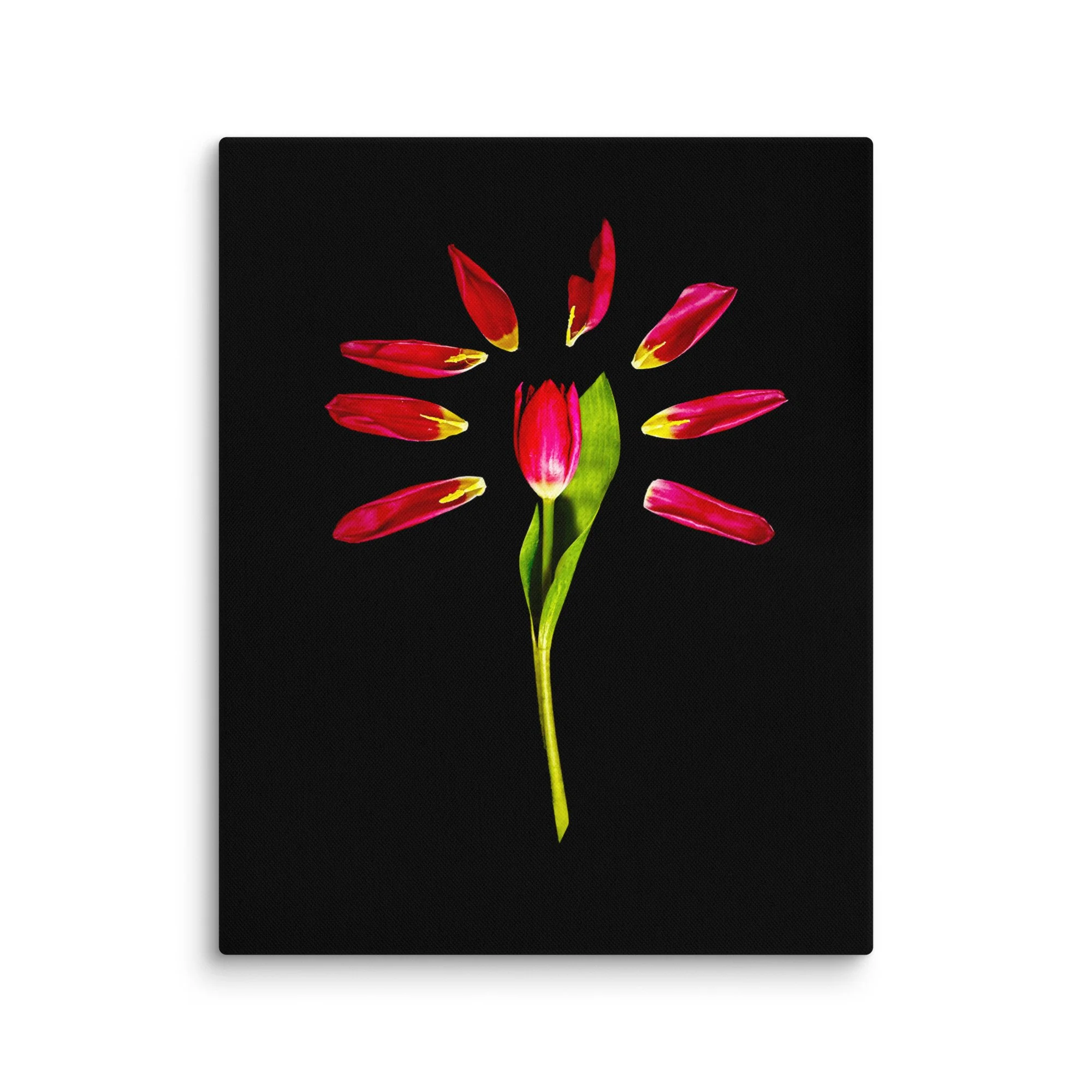 Starshine, a Radiant Gesture