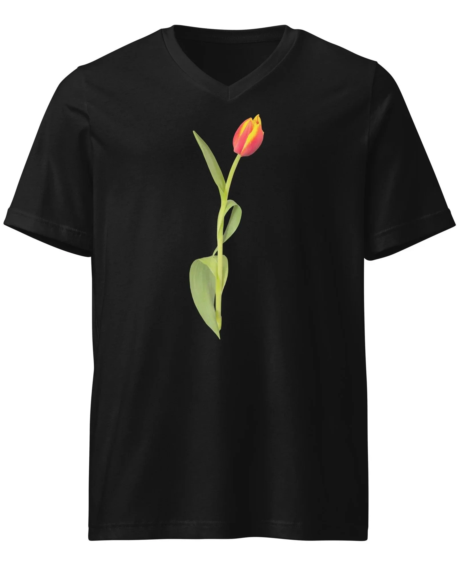 unisex-v-neck-tee-black-front-6982cc50bd2e0.jpg