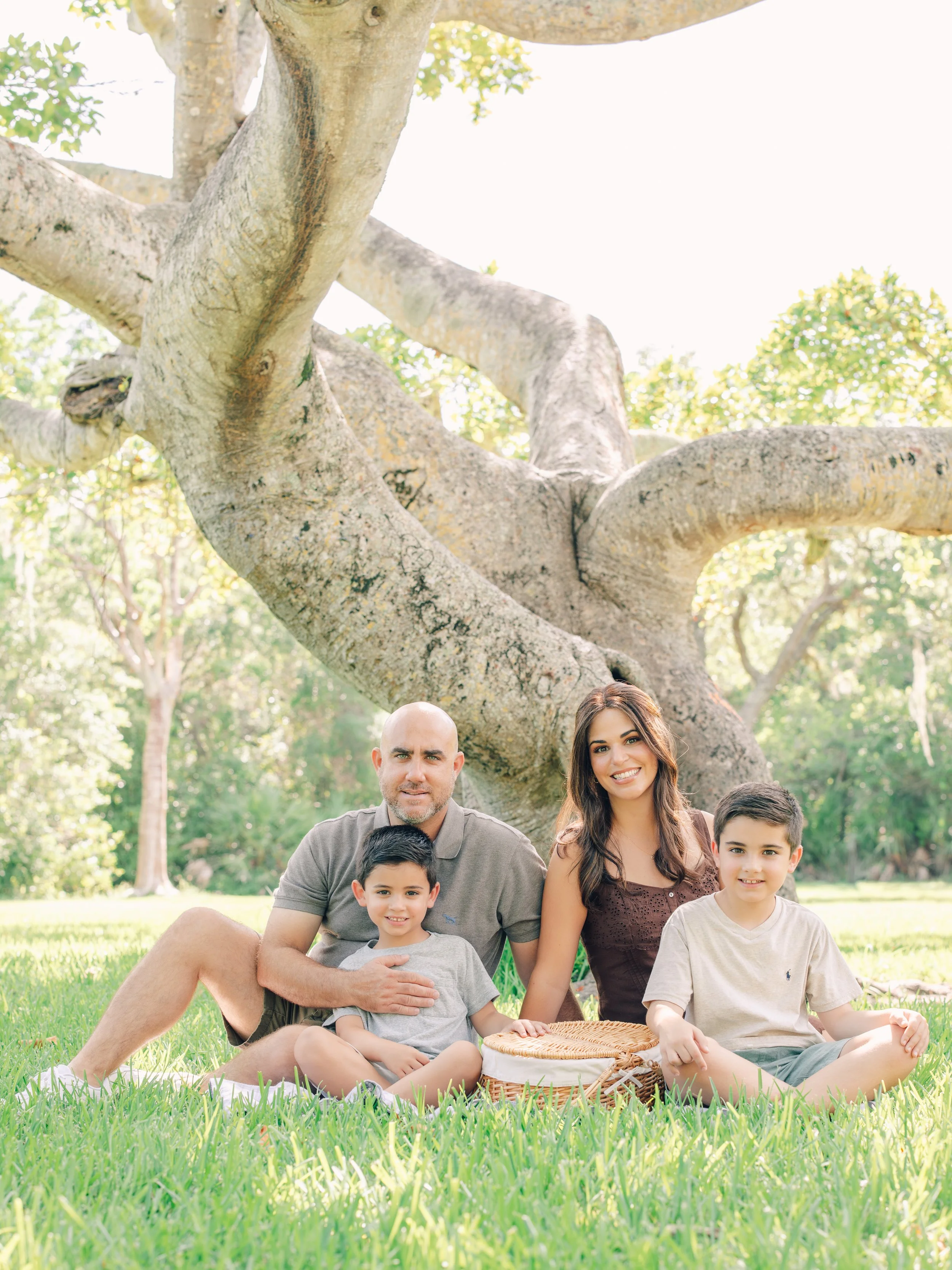 A family of four sitting on the grass in a park, with a large tree behind them and sunlight filtering through the leaves.