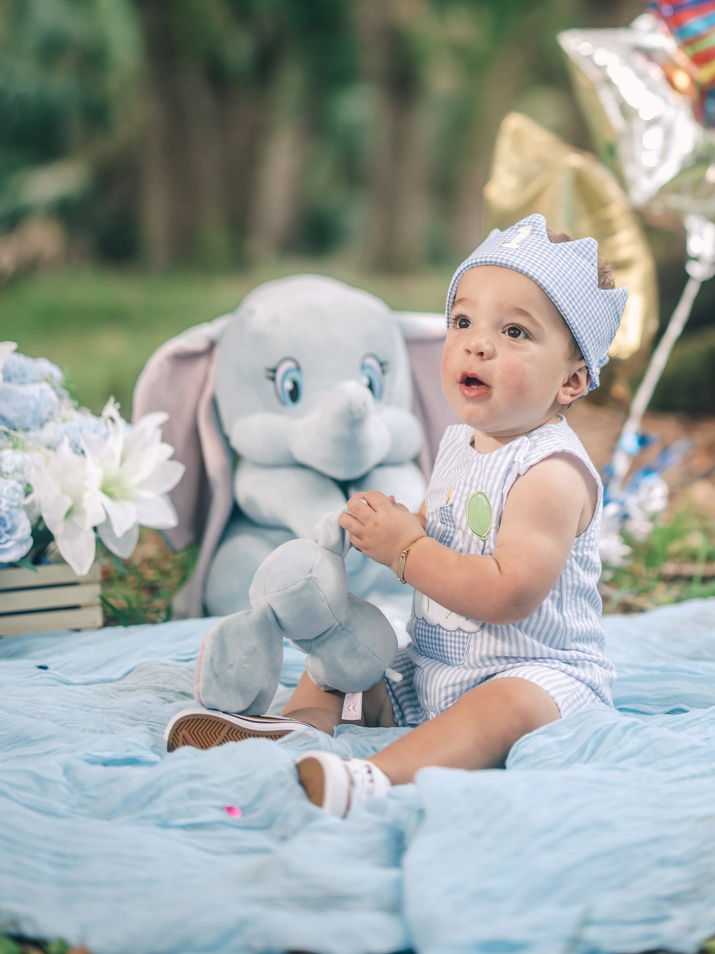 A baby sitting on a blanket outdoors, wearing a blue checkered crown-shaped hat and striped outfit, holding a plush elephant toy, with balloons and flowers in the background.