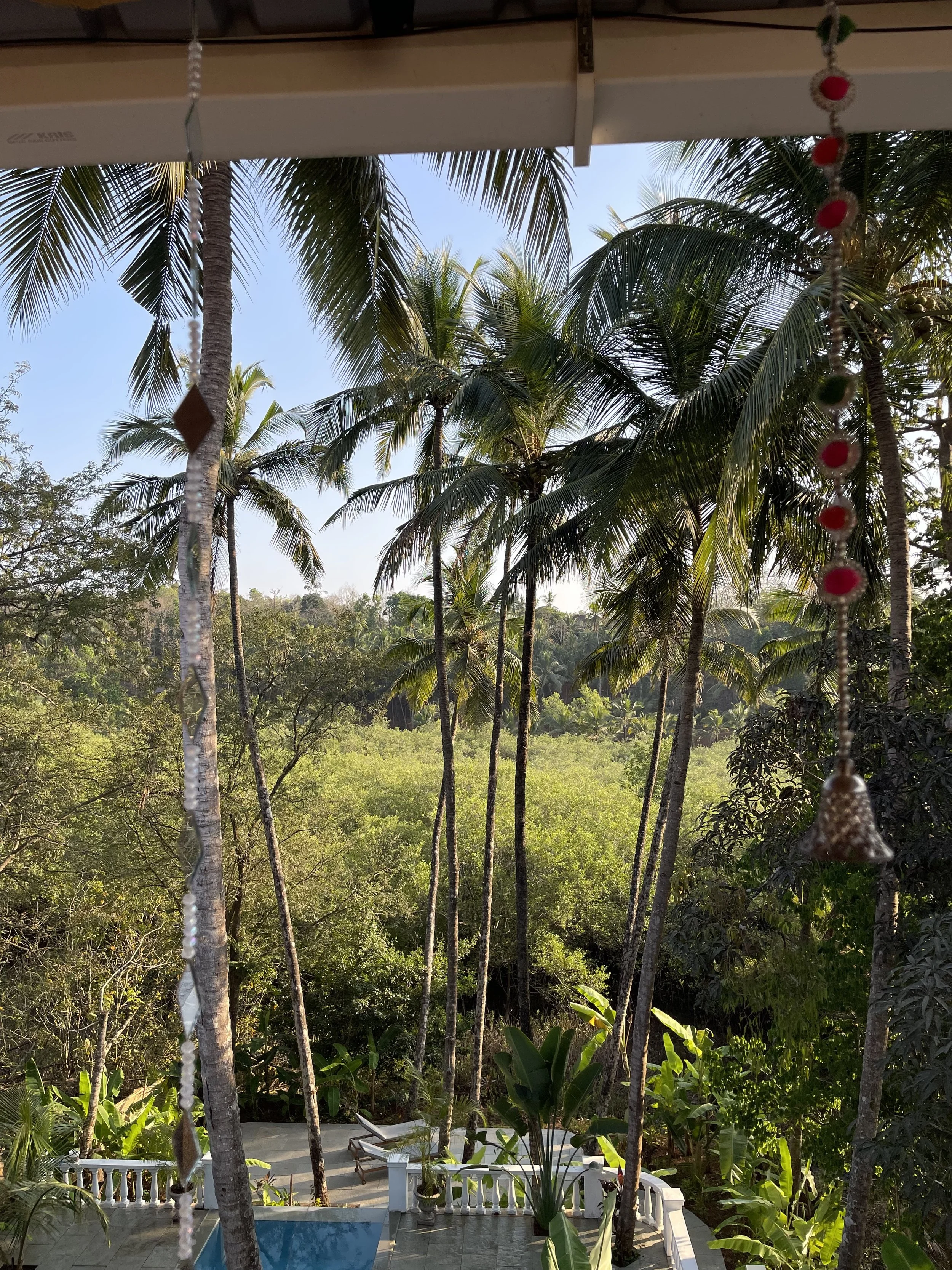 Photo 23-03-2025, 17 33 12.jpg