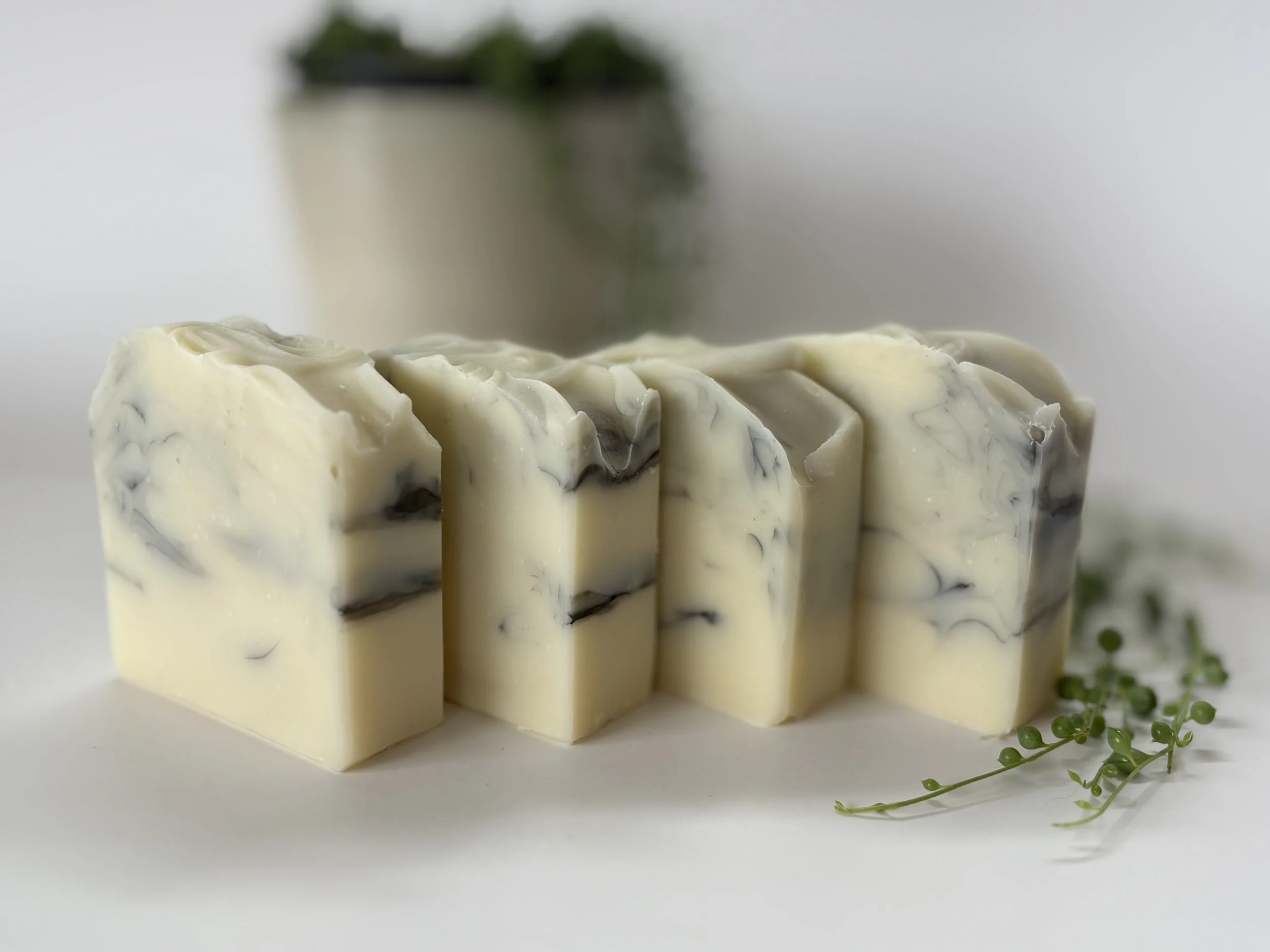 Activated Charcoal Swirl