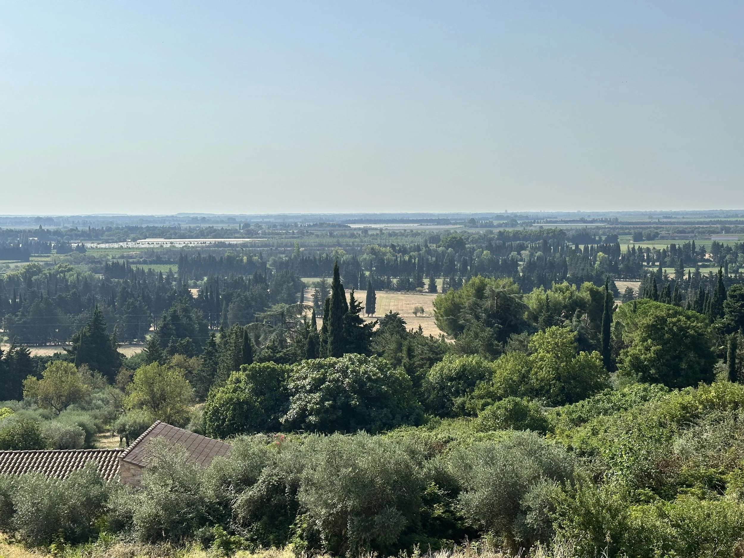 vue