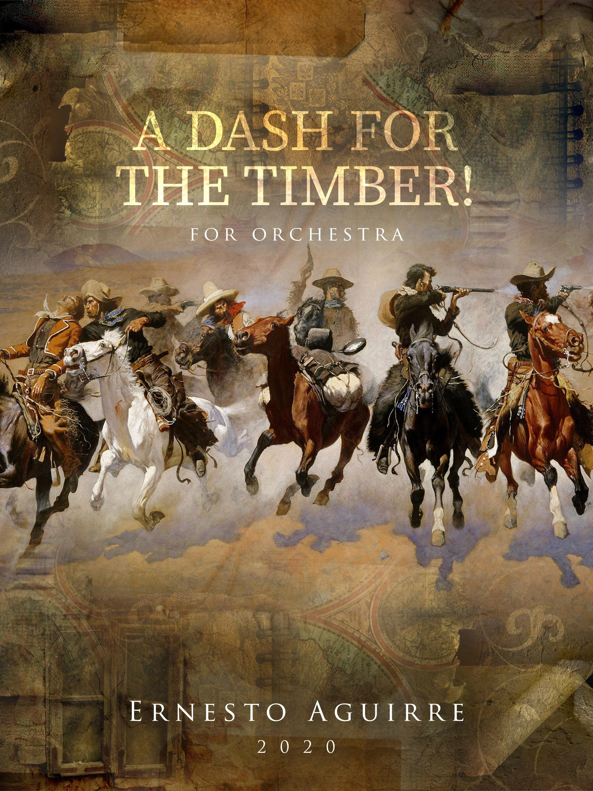 A Dash For The Timber 9x12 Cover.jpg