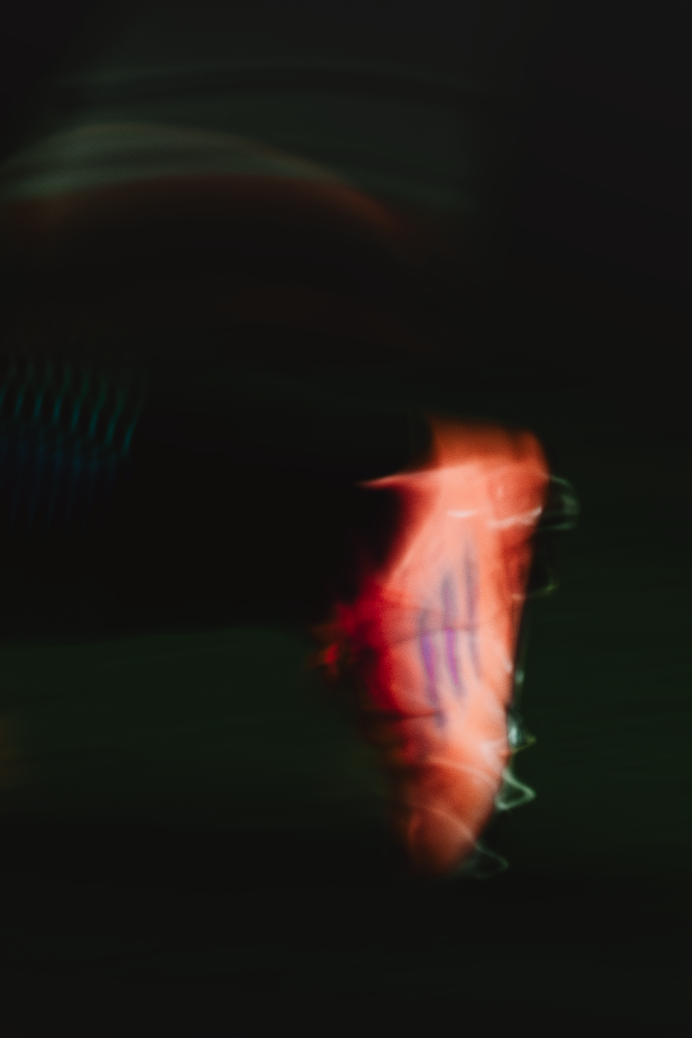 DSC02390.png