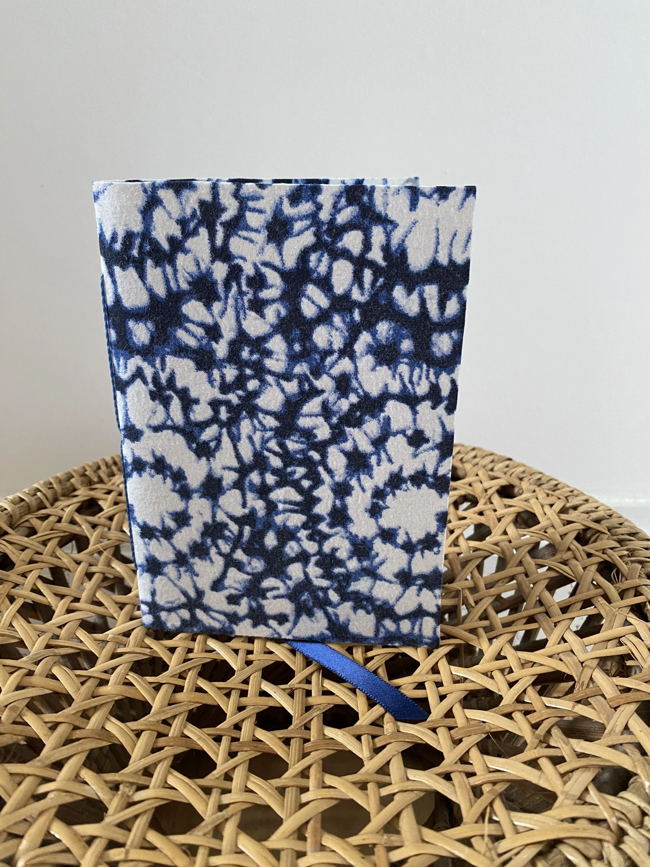 Le monde en bleu
