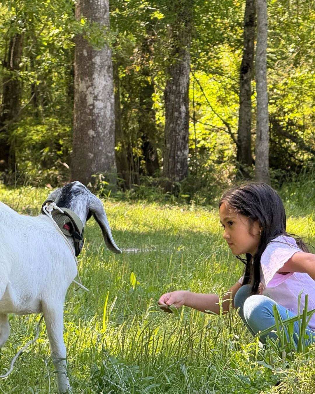Strong mental health builds strong families. 🧠💪
From laughter in the backyard to everyday routines, your well-being impacts the people you love most. Our psychiatry team is here to help you feel supported, balanced, and ready to enjoy life.