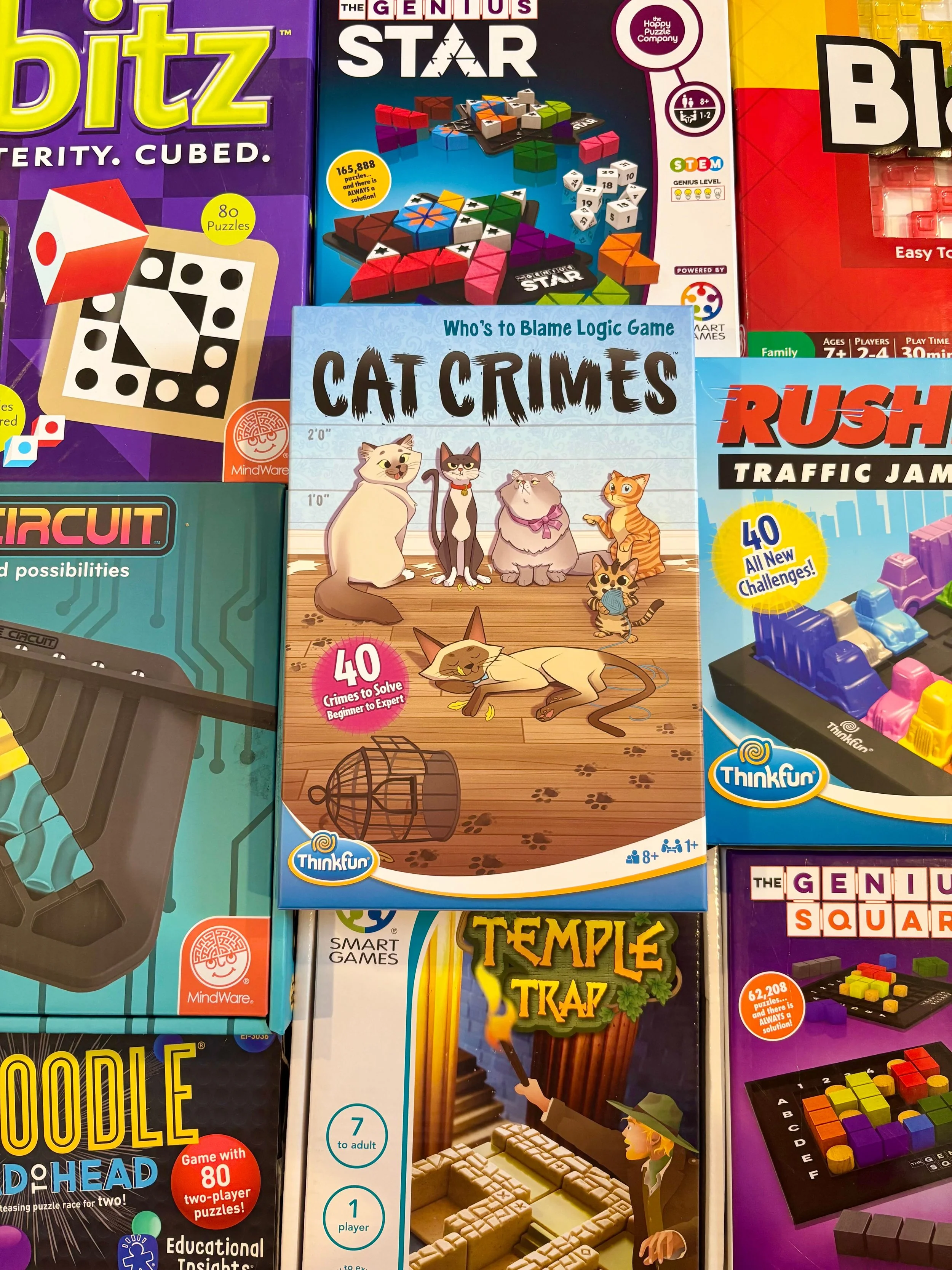 Logic Games - Easter Gifts for Girls 6 7 8 - Bronte and Wilder