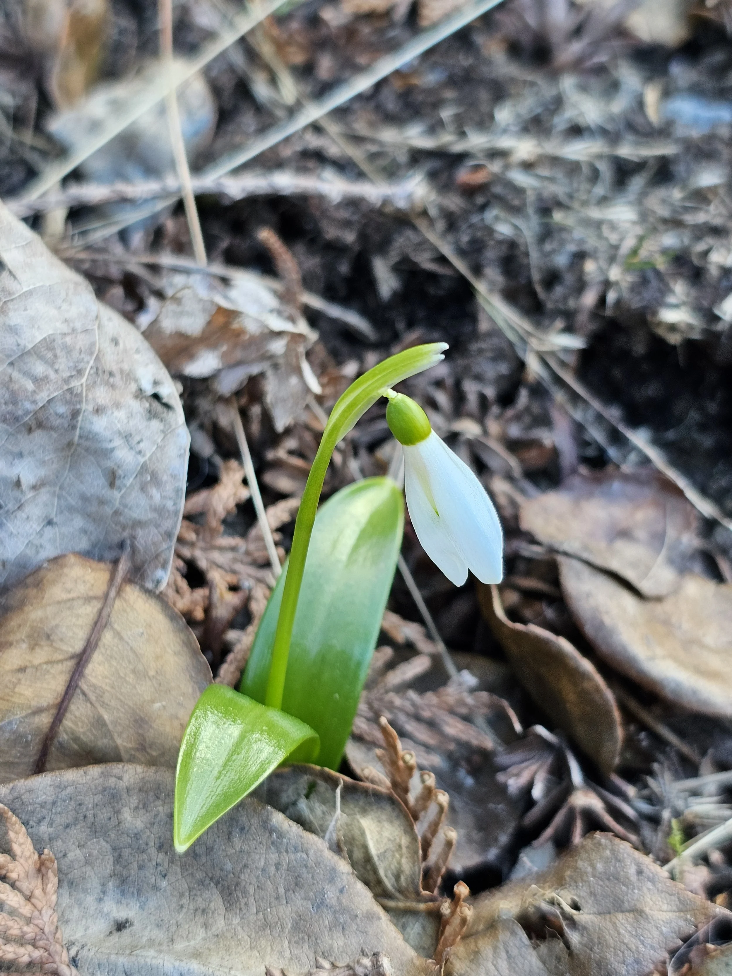 2026-04-13 08.36.06.jpg