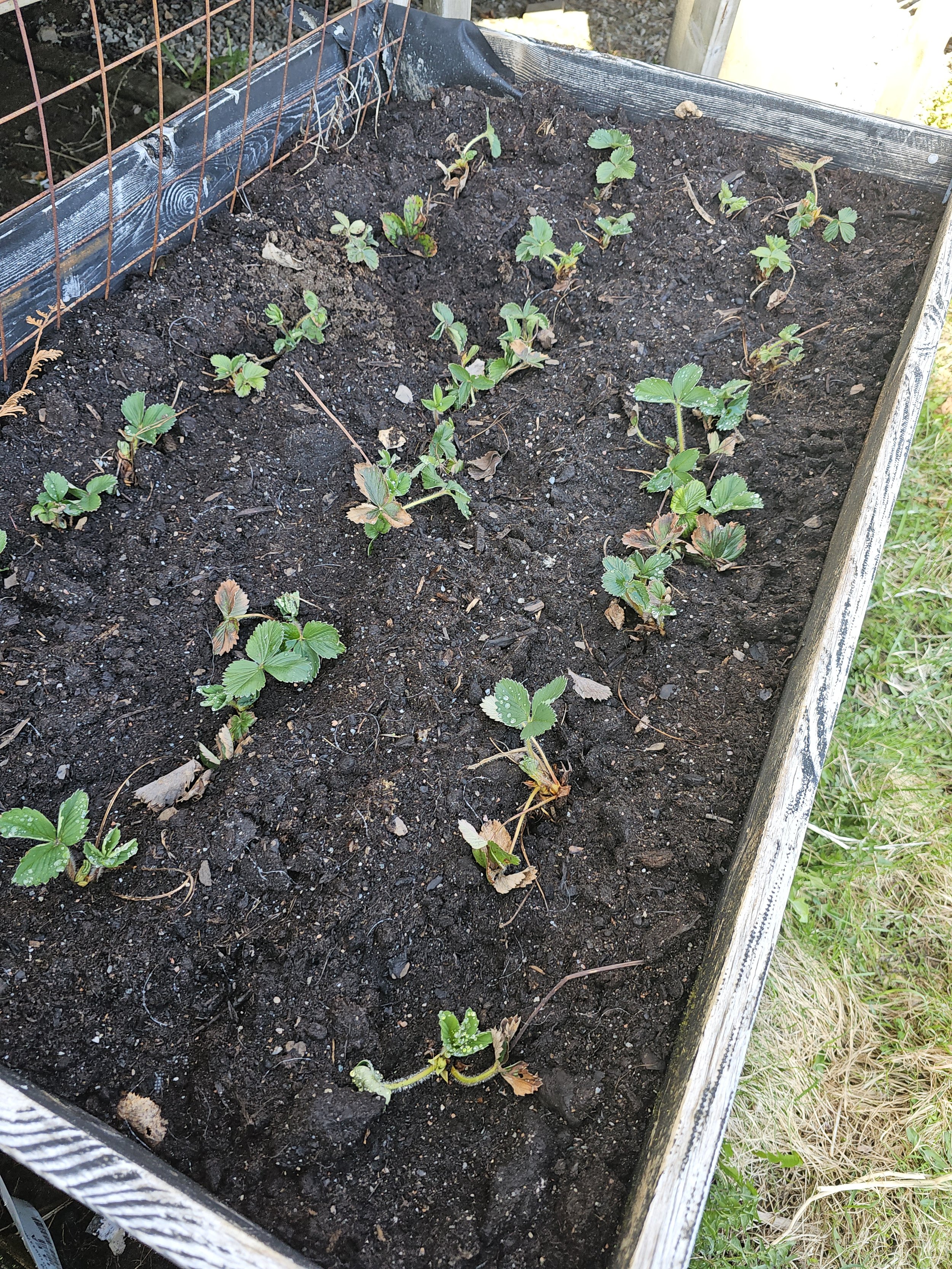 2026-04-30 17.04.09.jpg