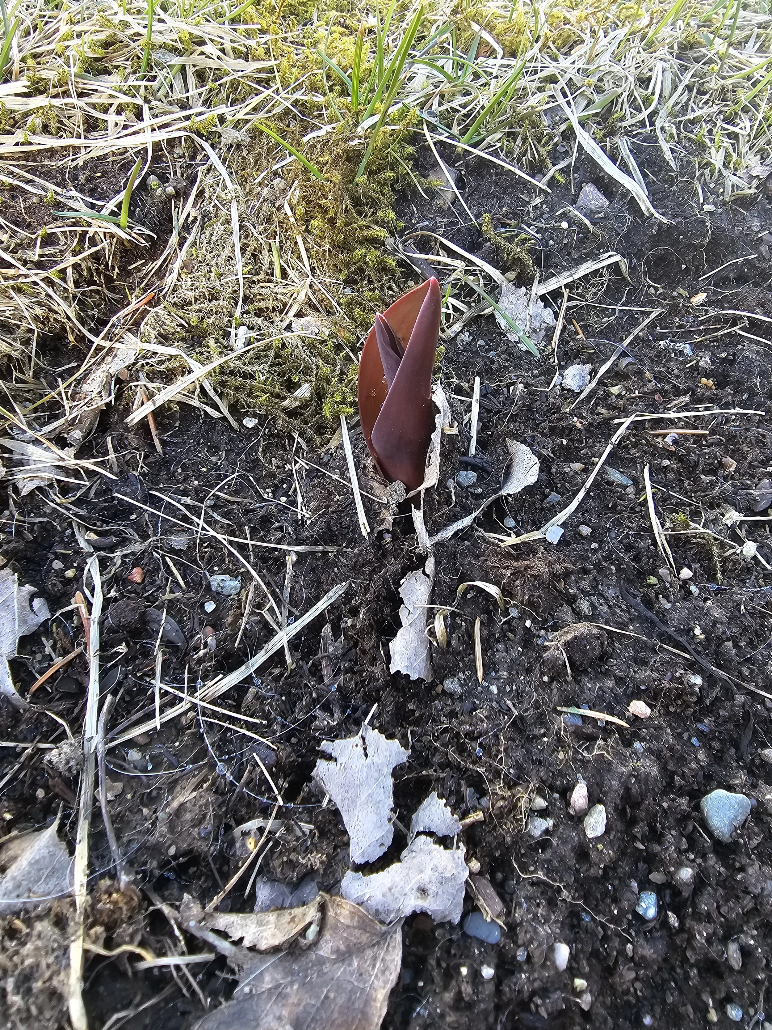 2026-04-30 17.13.29.jpg