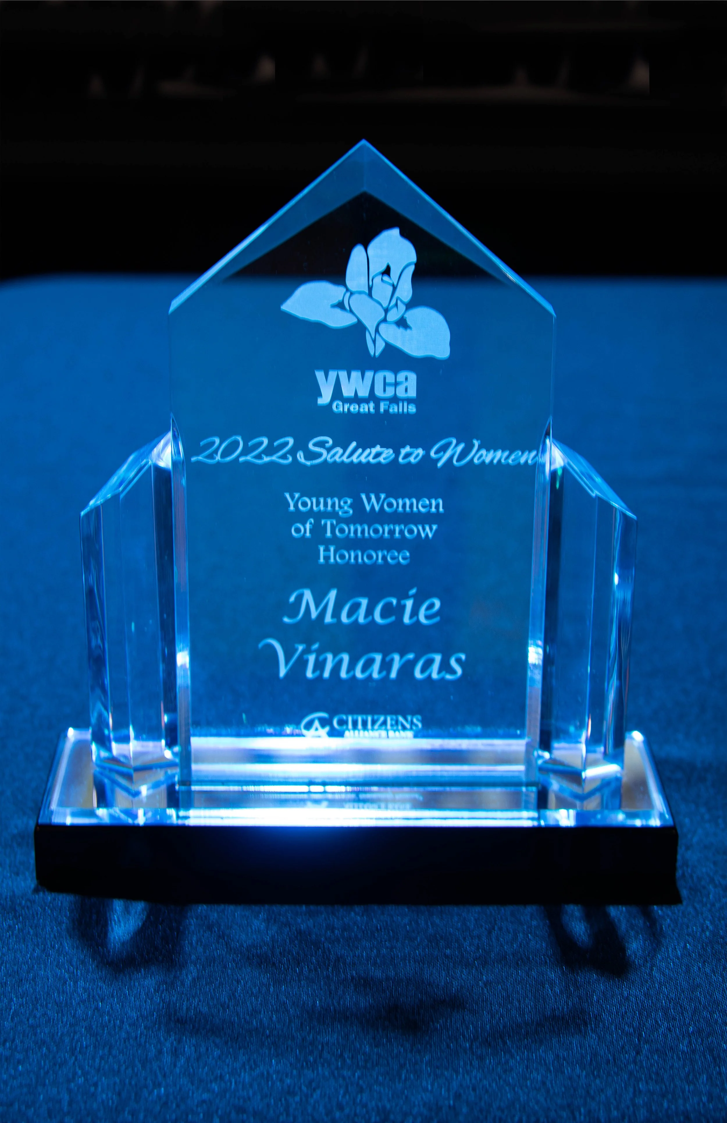 YWCA Salute to Women Gala 2022IMG_6949-Edit.jpg