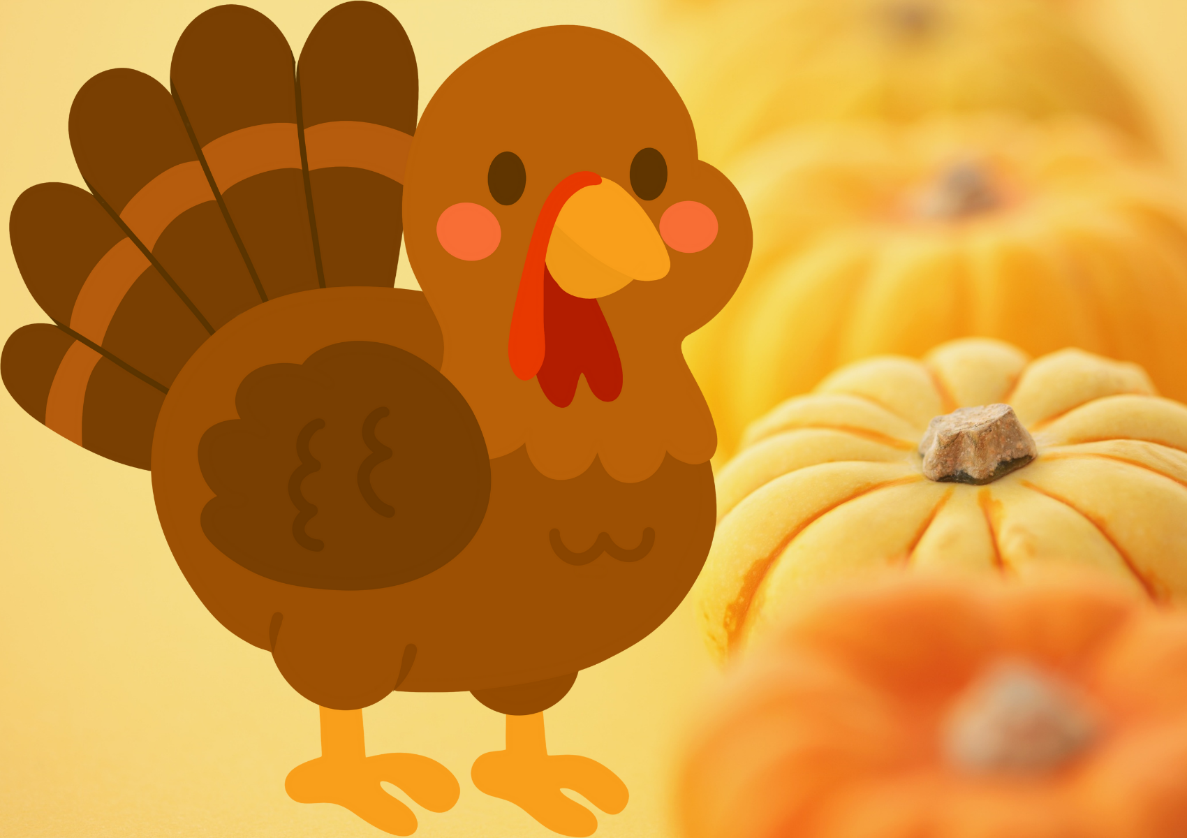 Thanksgiving Holiday