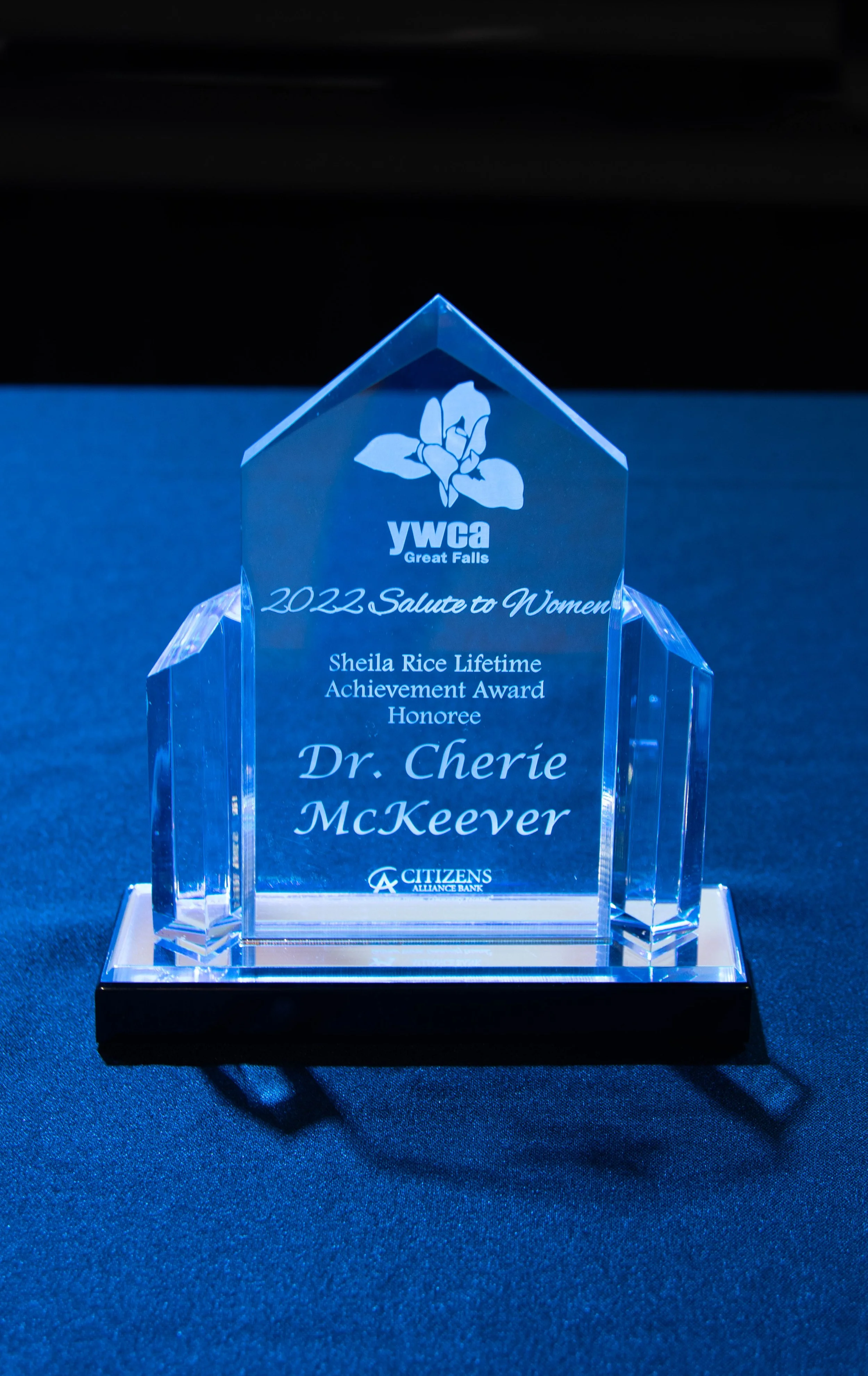 YWCA Salute to Women Gala 2022IMG_6953-Edit.jpg