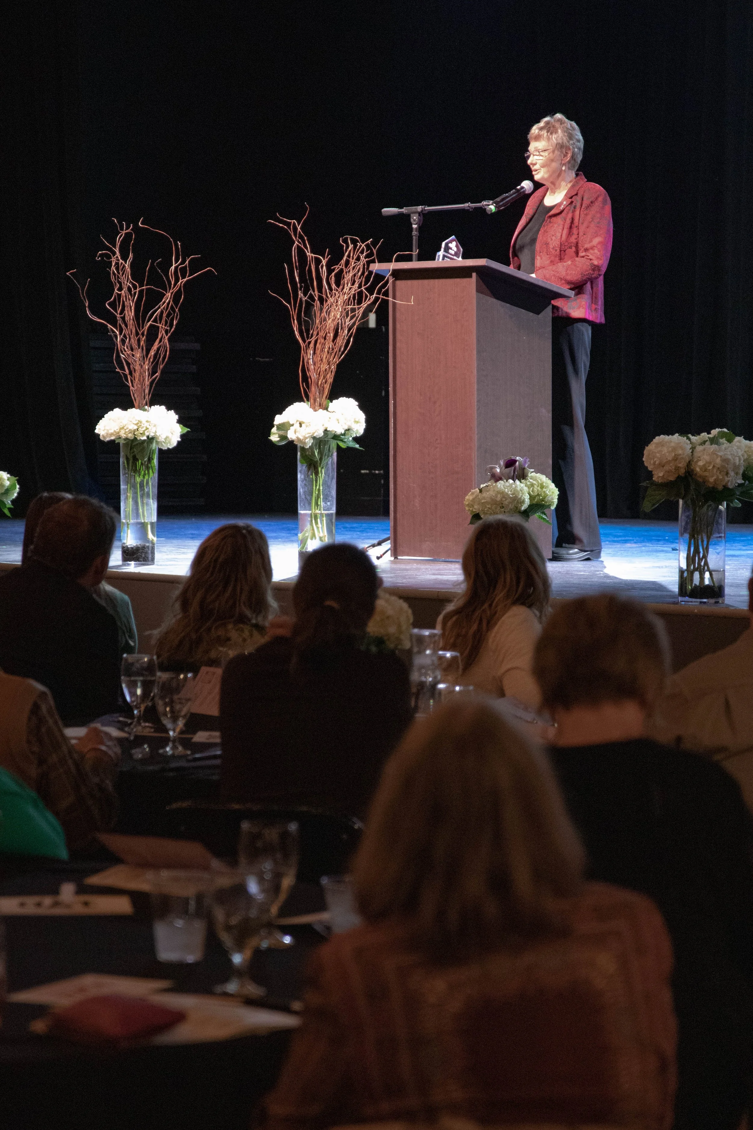 YWCA Salute to Women Gala 2022IMG_7425-Edit.jpg