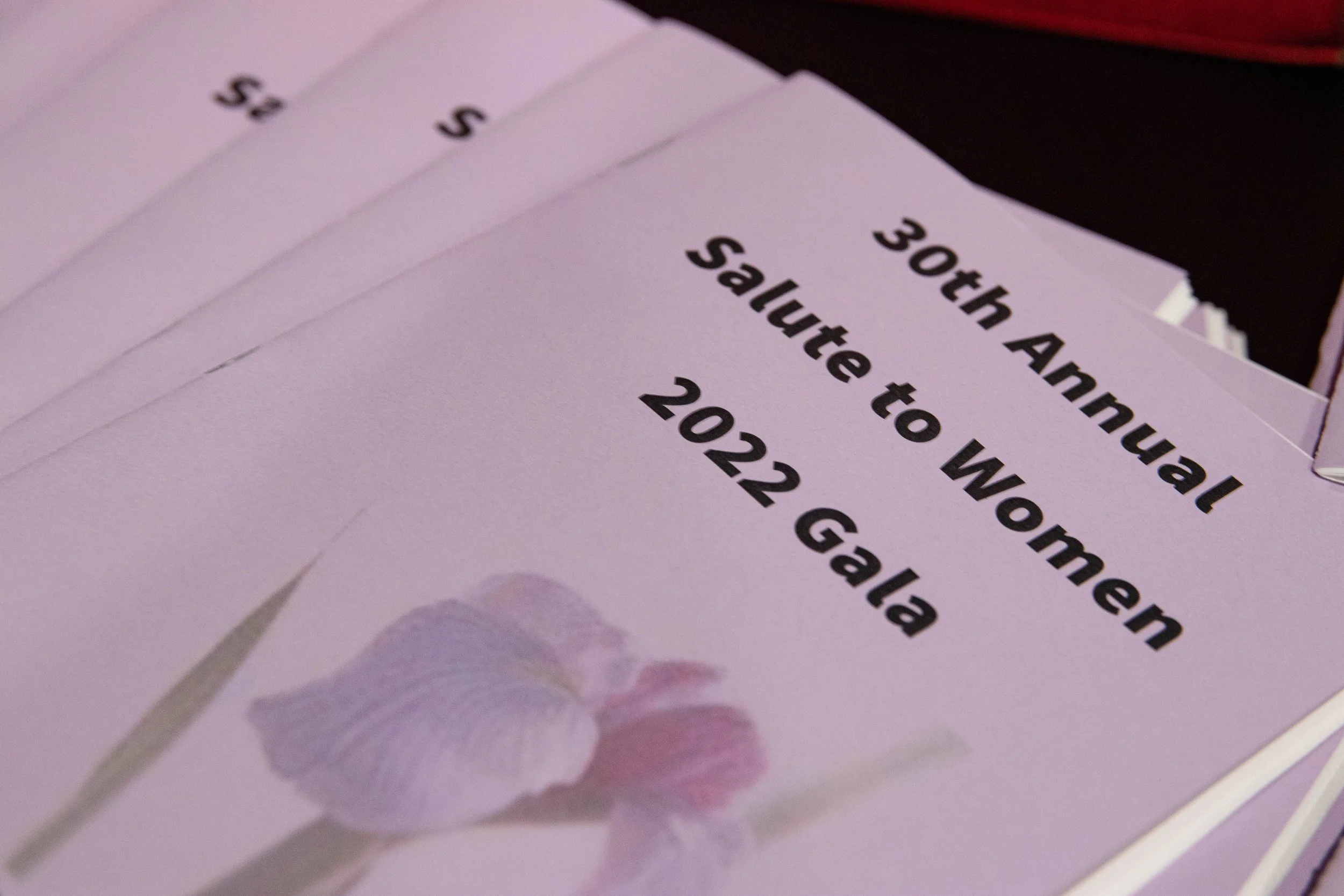 YWCA Salute to Women Gala 2022IMG_6971-Edit.jpg