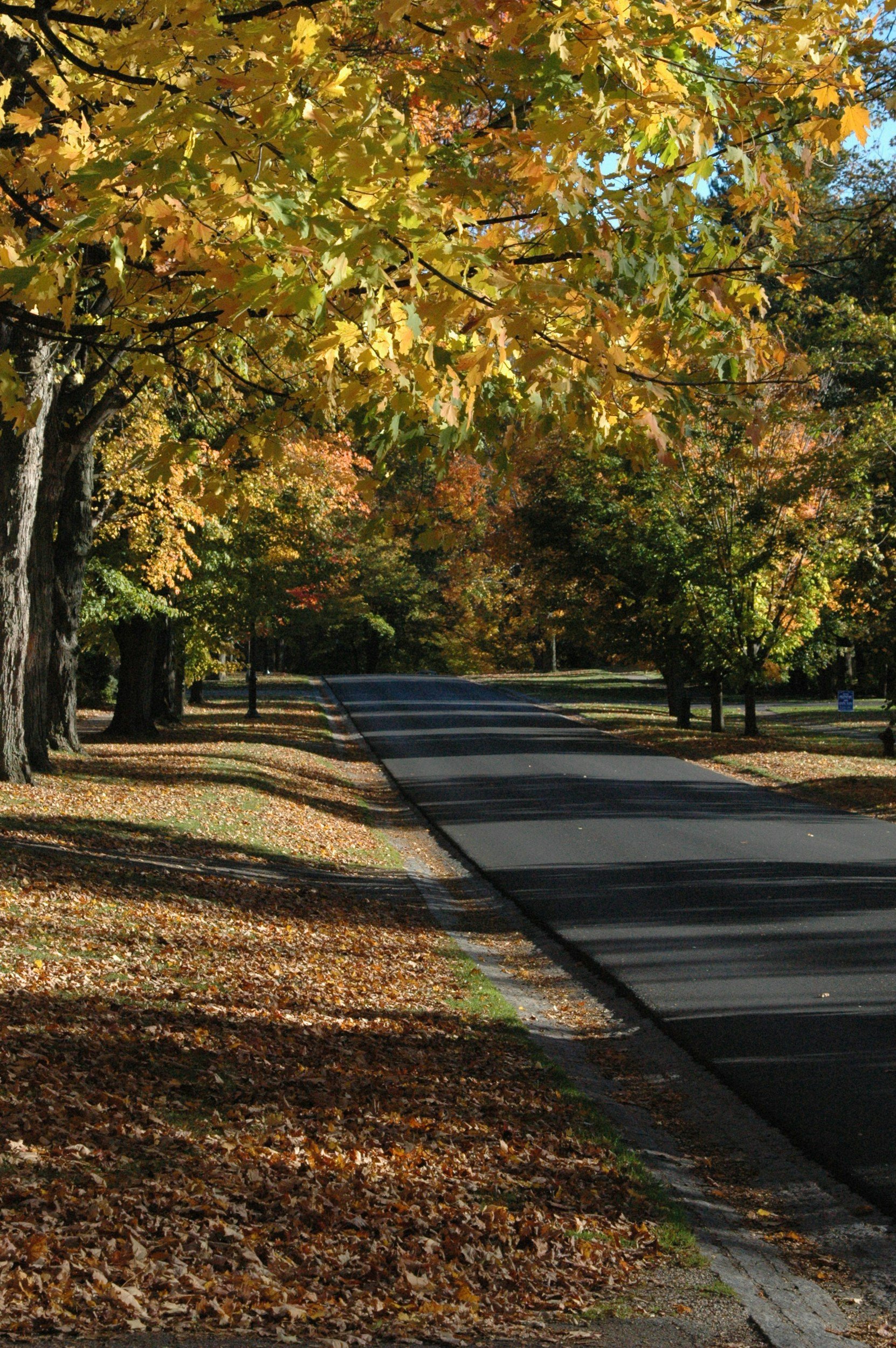 Success Story: Dorset and Residential Building Energy Standards