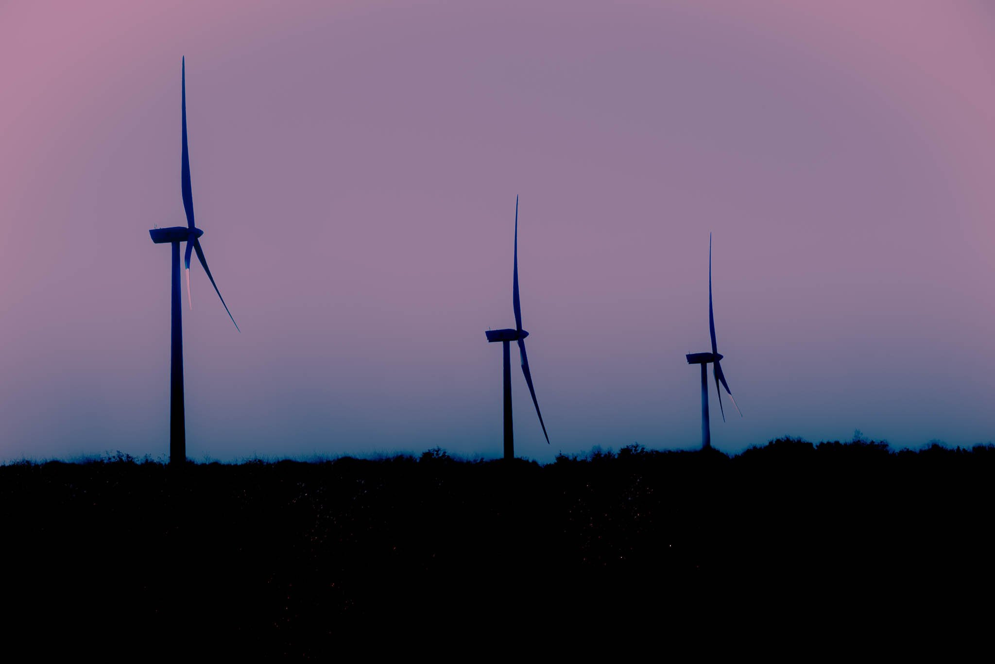 What Energy Action Network's Latest Analysis Says About Your Fossil Fuel Prices
