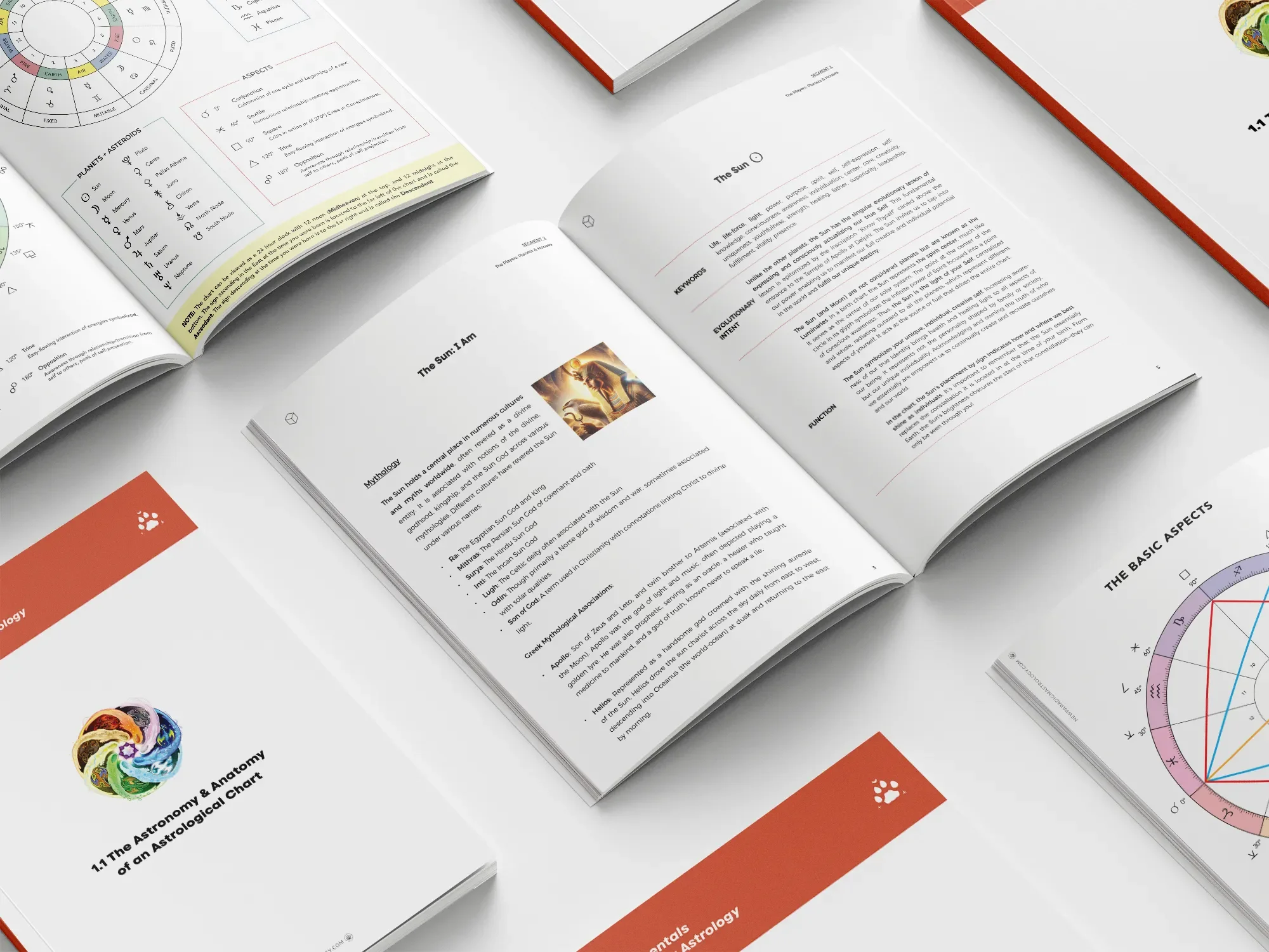 npa-workbooks.webp