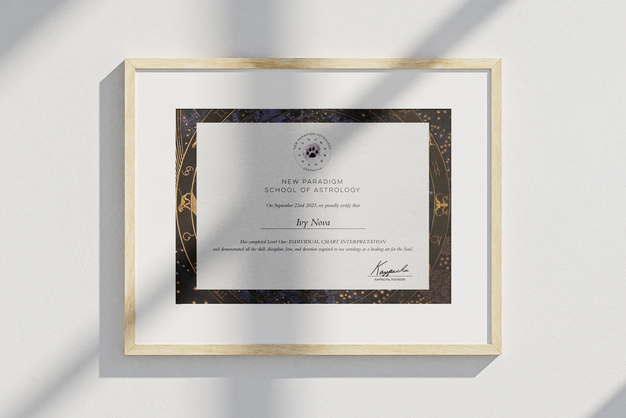 npa-diploma copy.webp