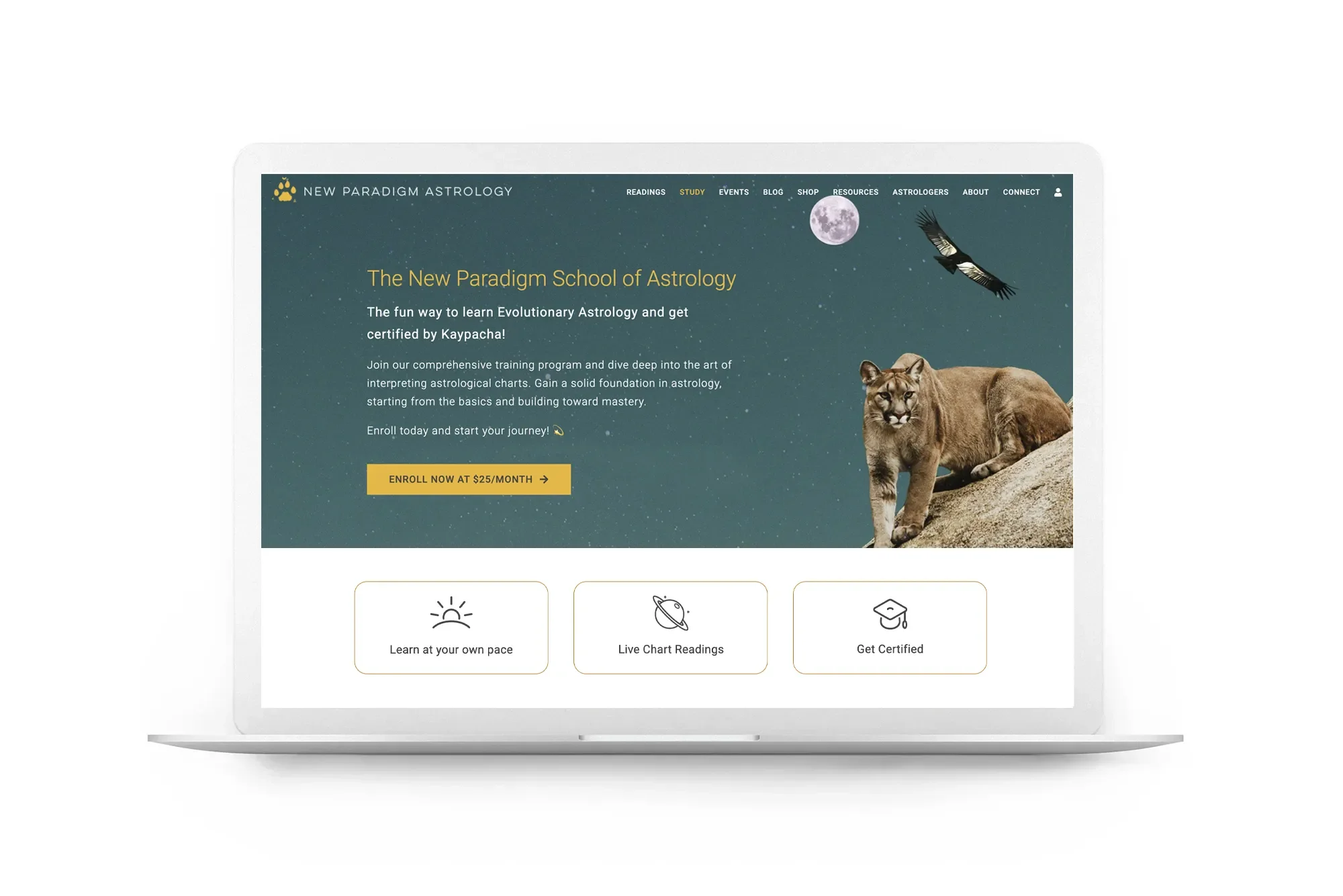 npa-school-home.webp