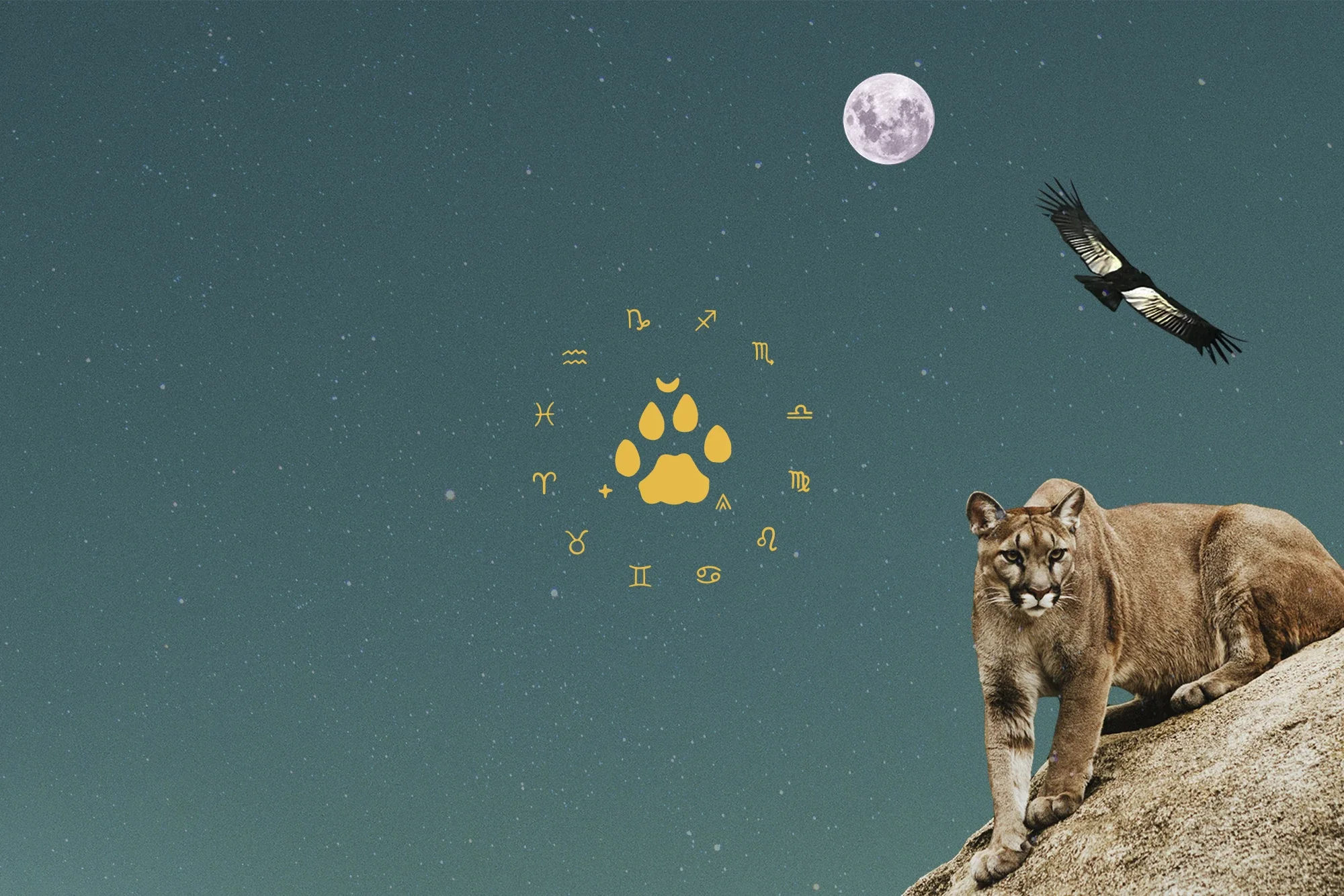 New Paradigm Astrology