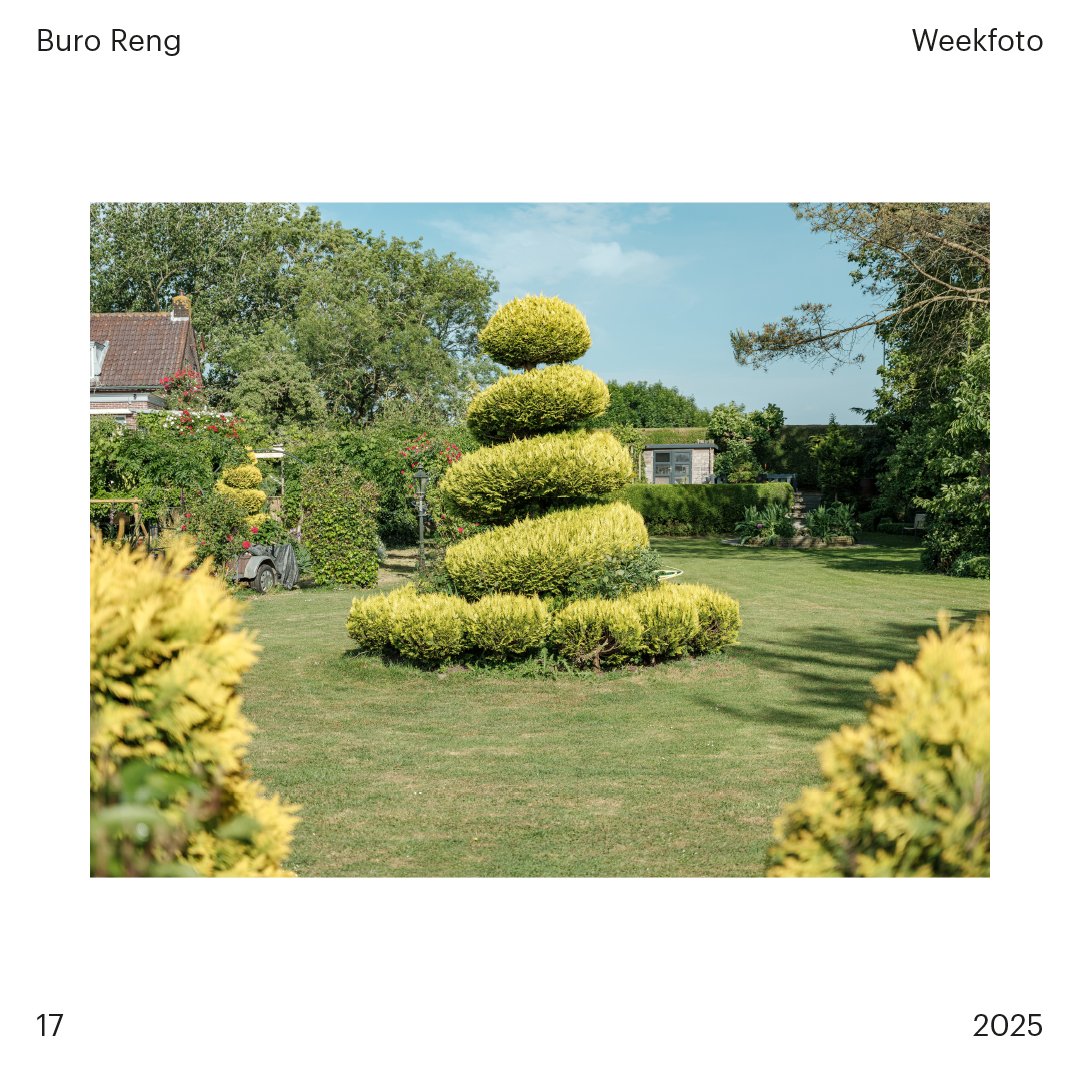 Buro Reng - weekfoto - 2025 - 17.jpg