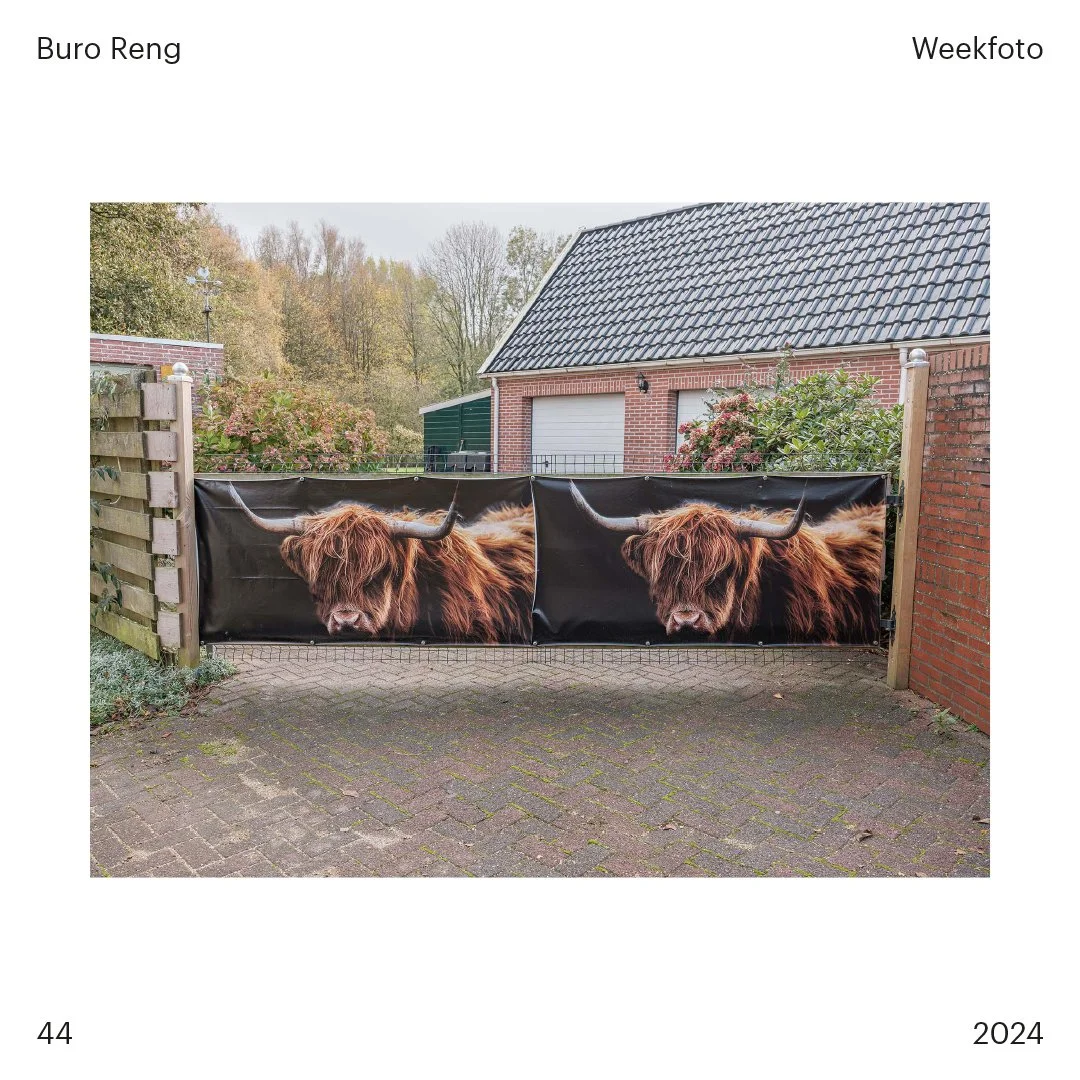 Buro Reng - weekfoto - 2024 - 44.jpg