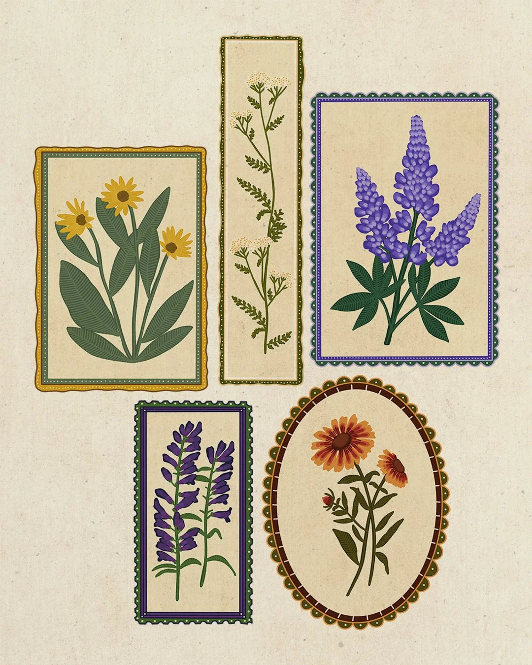 Illustrated floral designs of different flowers, each framed in decorative borders, on a beige background.