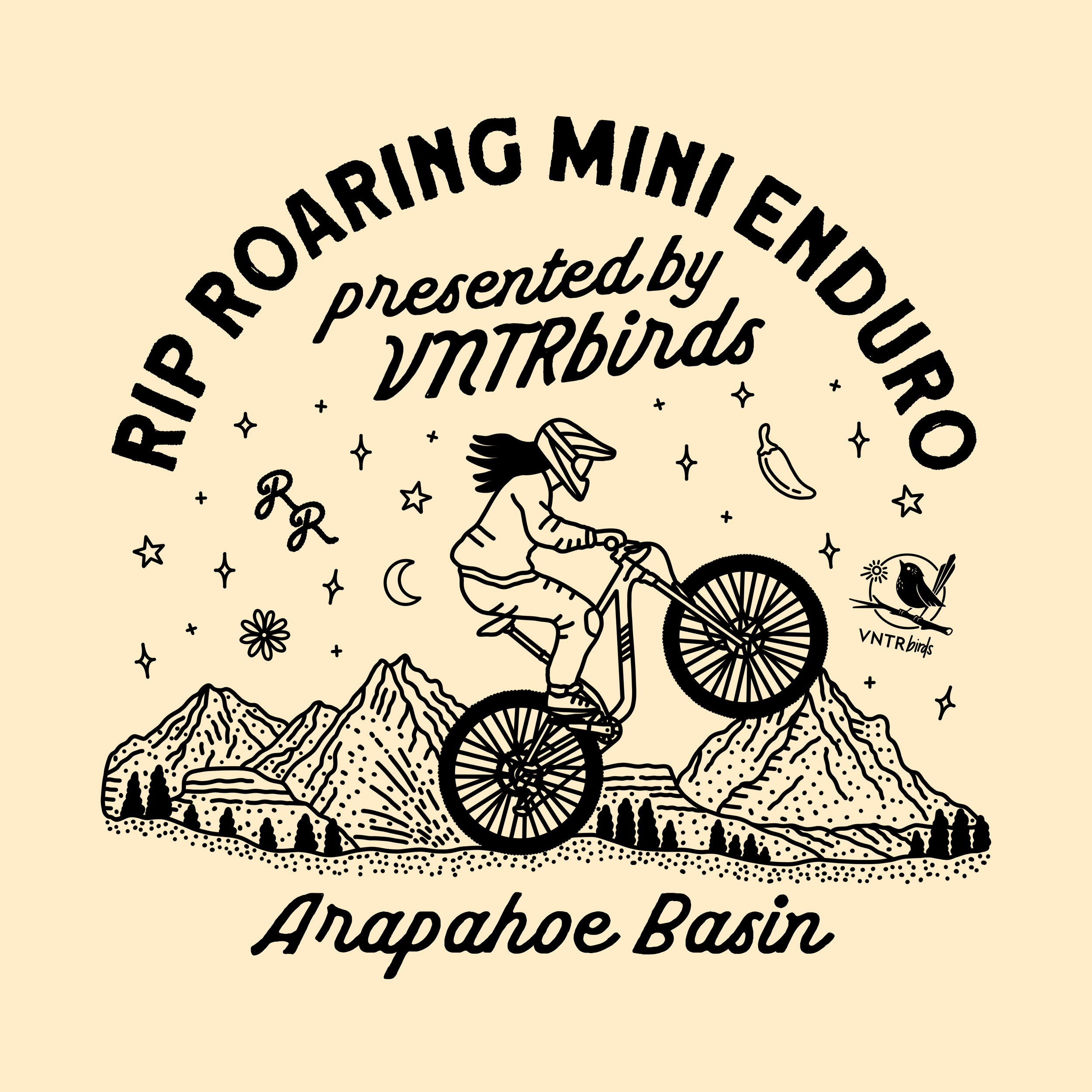 VNTRbirds Portfolio Image.png