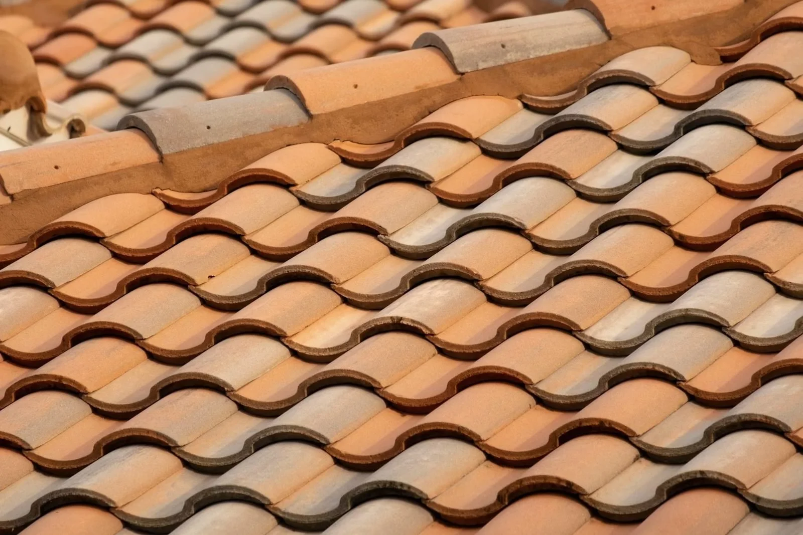 An image of The Tile roofing