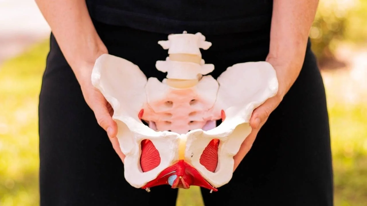 Pelvic Floor Physical Therapy 