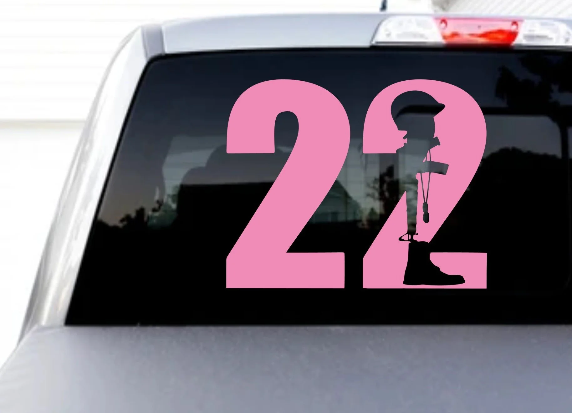 22 pink.jpg