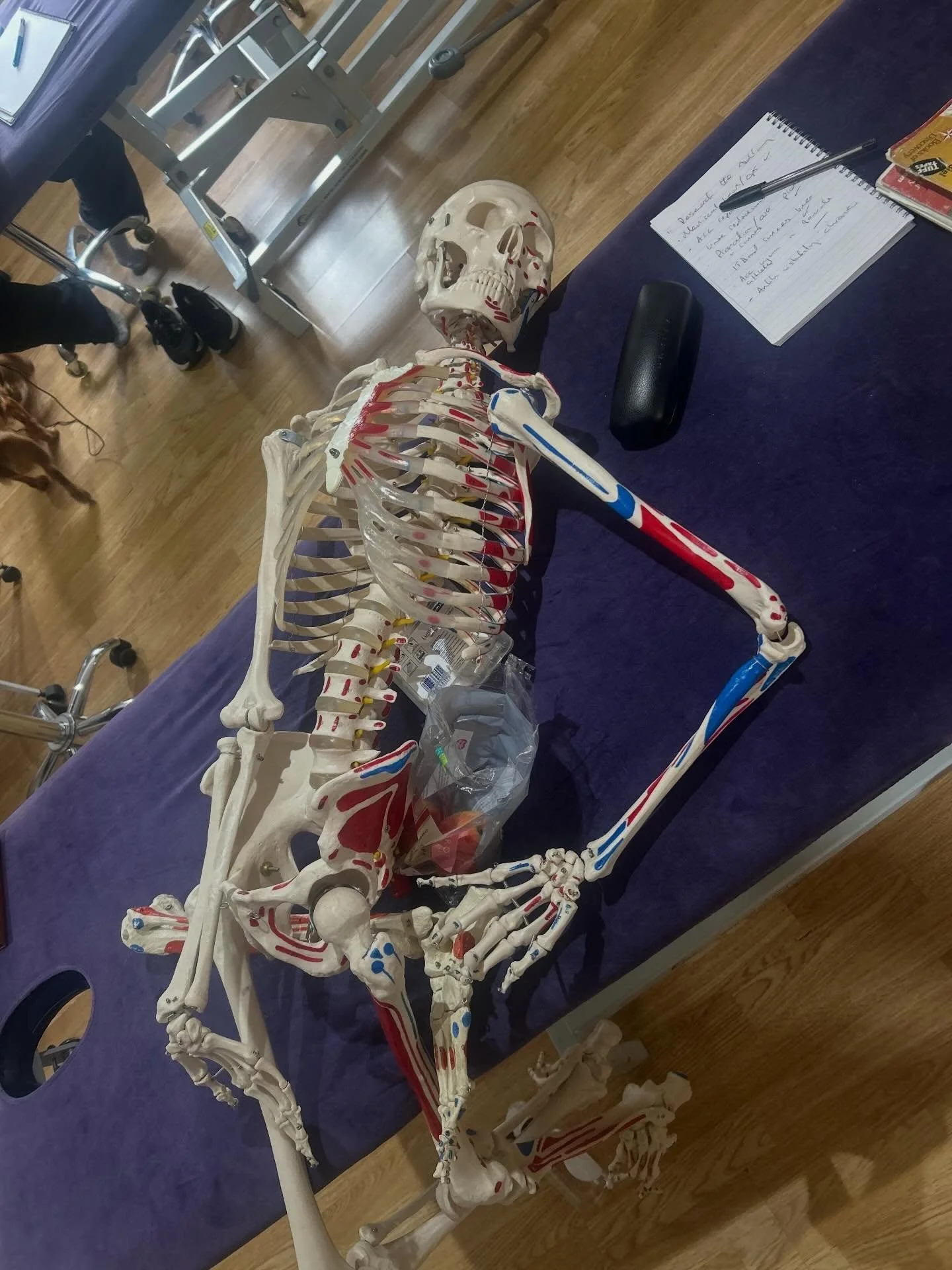 How it feels learning level 5 sports massage and taking in new knowledge about the body @cotswold_academy