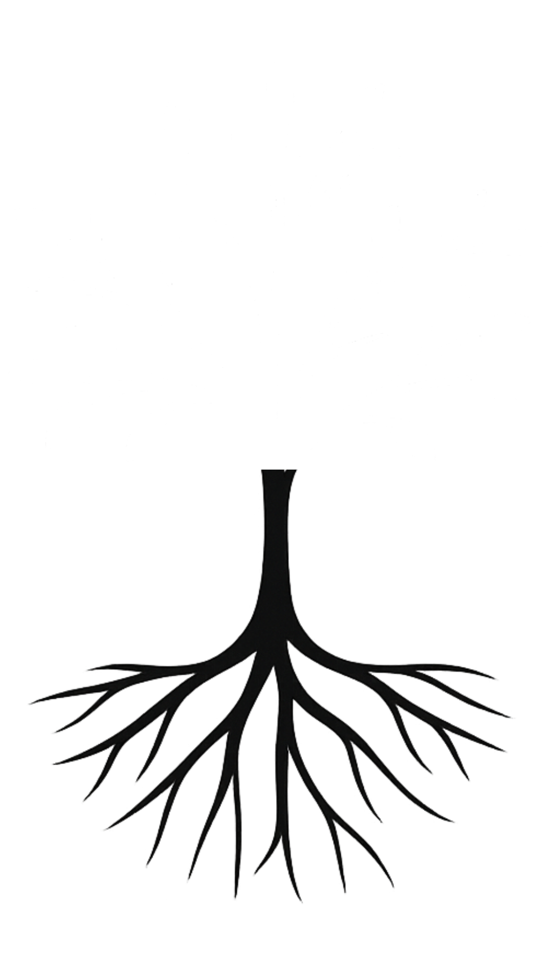 Trunk.png