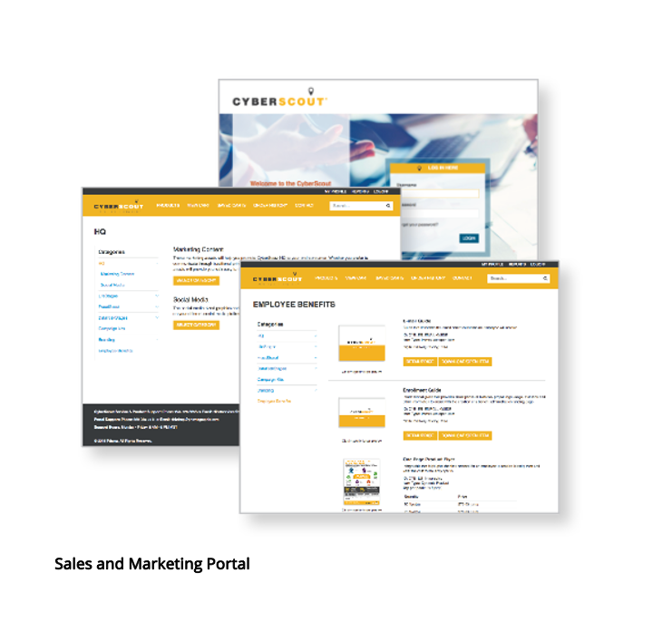Cyber Scout_sales and marketing portal.png