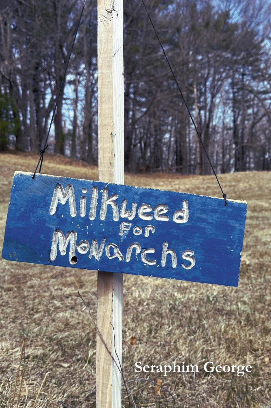 A blue wooden sign that reads 'Milkweed for Monarchs' hanging from a wooden stake in a grassy area with trees in the background.