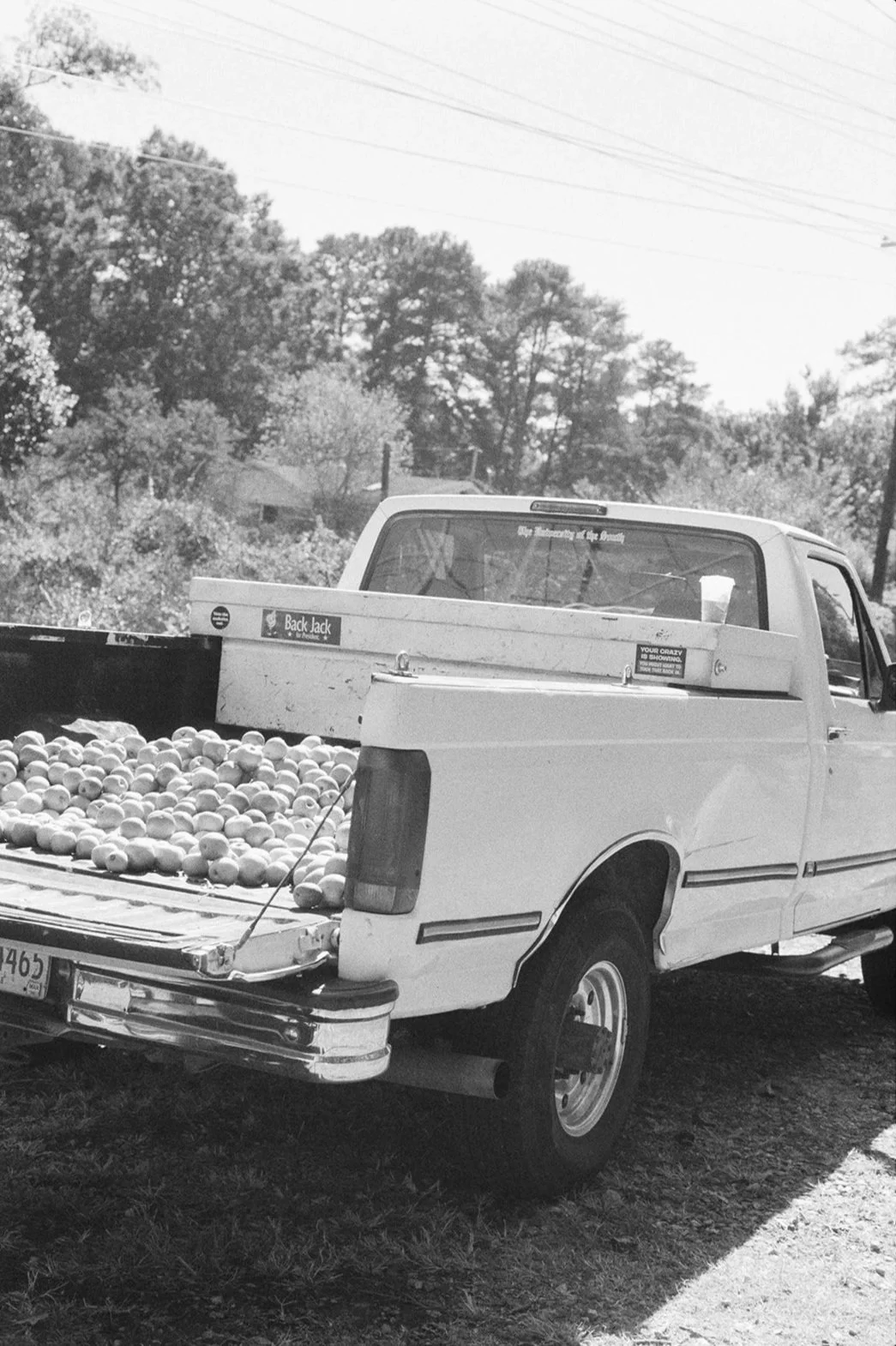 gk-sept2023-cider-film-069_websize.jpg