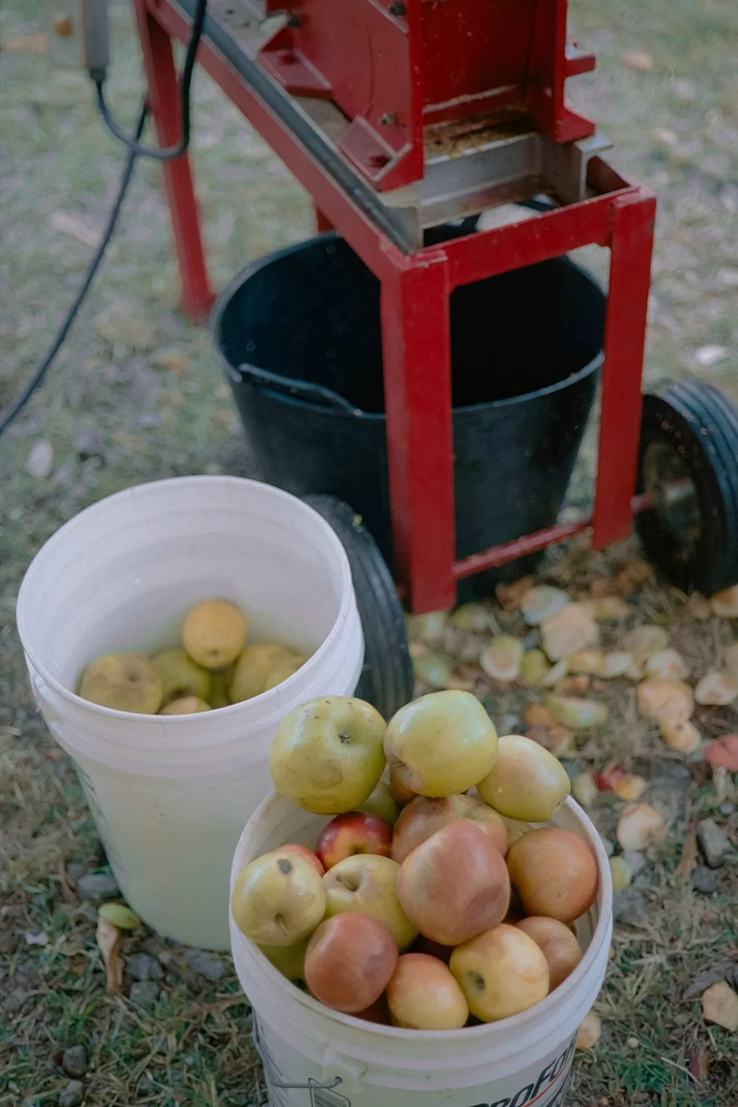 gk-oct2024-cider-film-83_websize.jpg