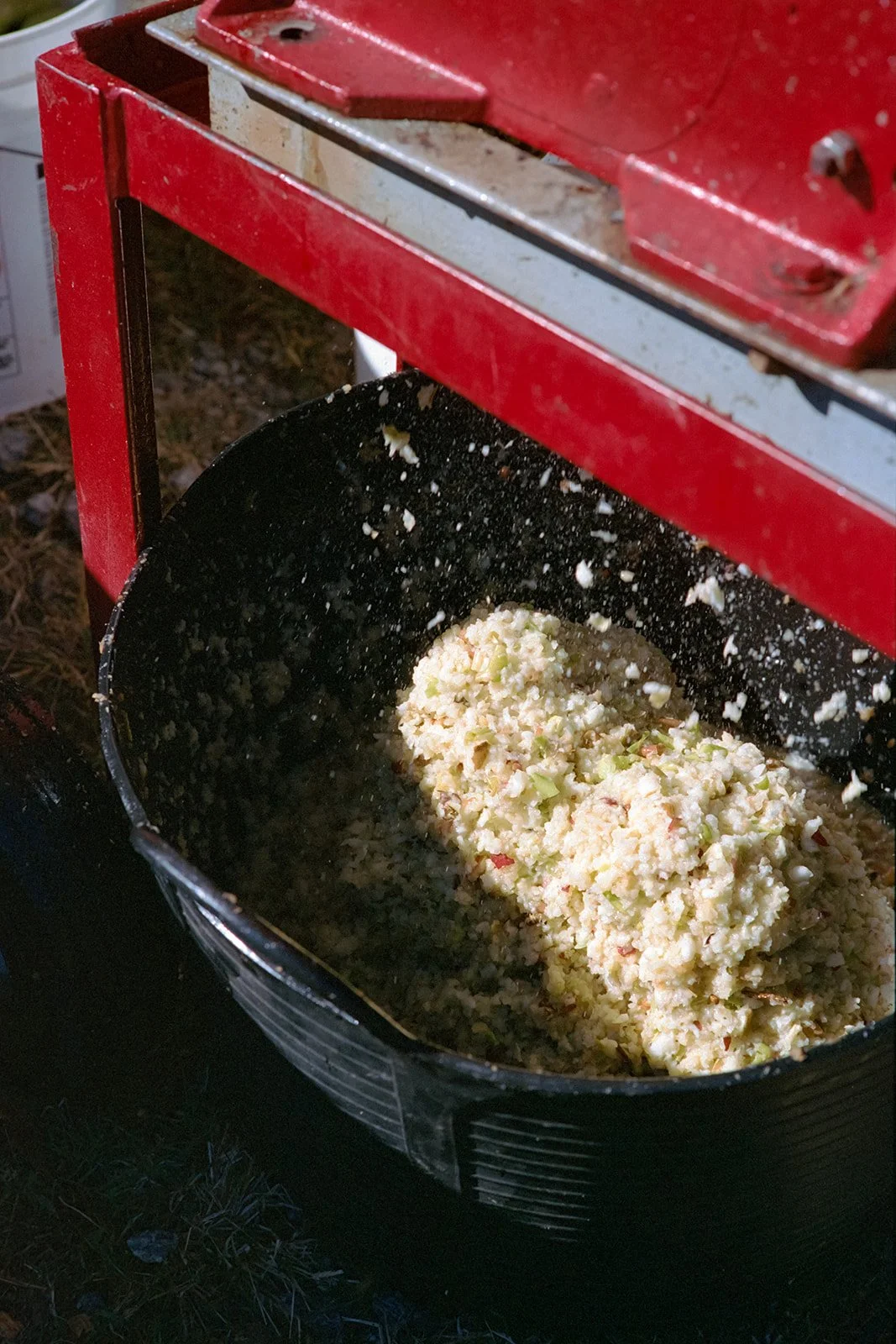 gk-oct2024-cider-film-46_websize.jpg