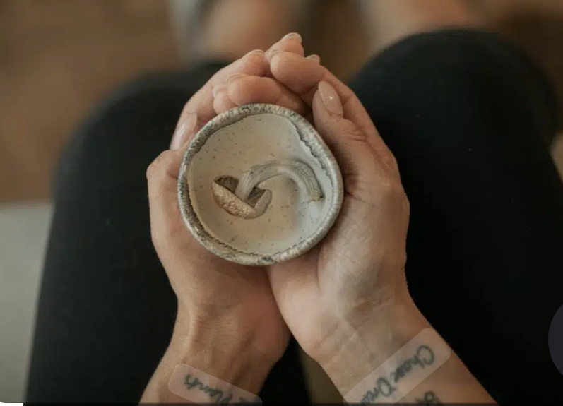 Guided Psilocybin Retreat for Women