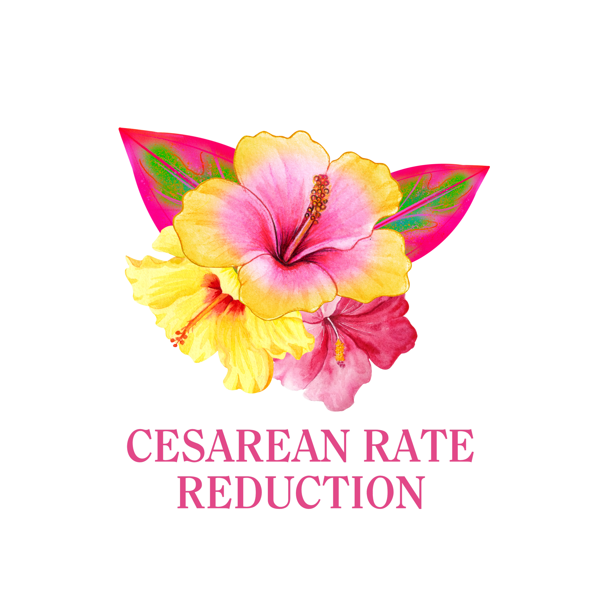 Cesarean Rate Reduction
