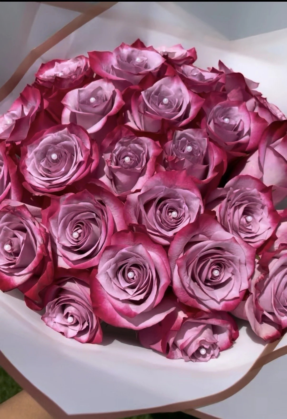 IMG_0896.jpeg (Copy)