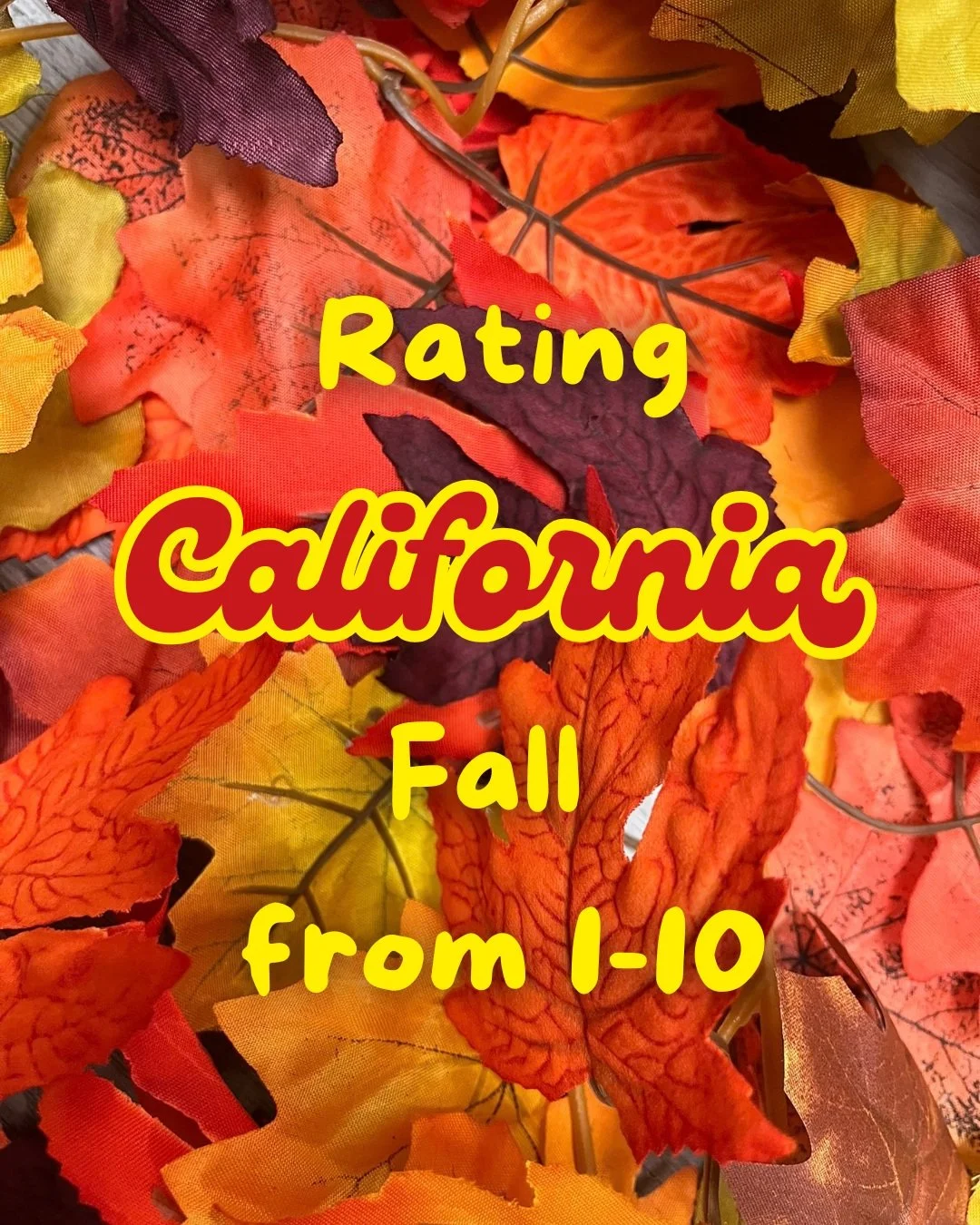 Fall in California is different #livebettrly!